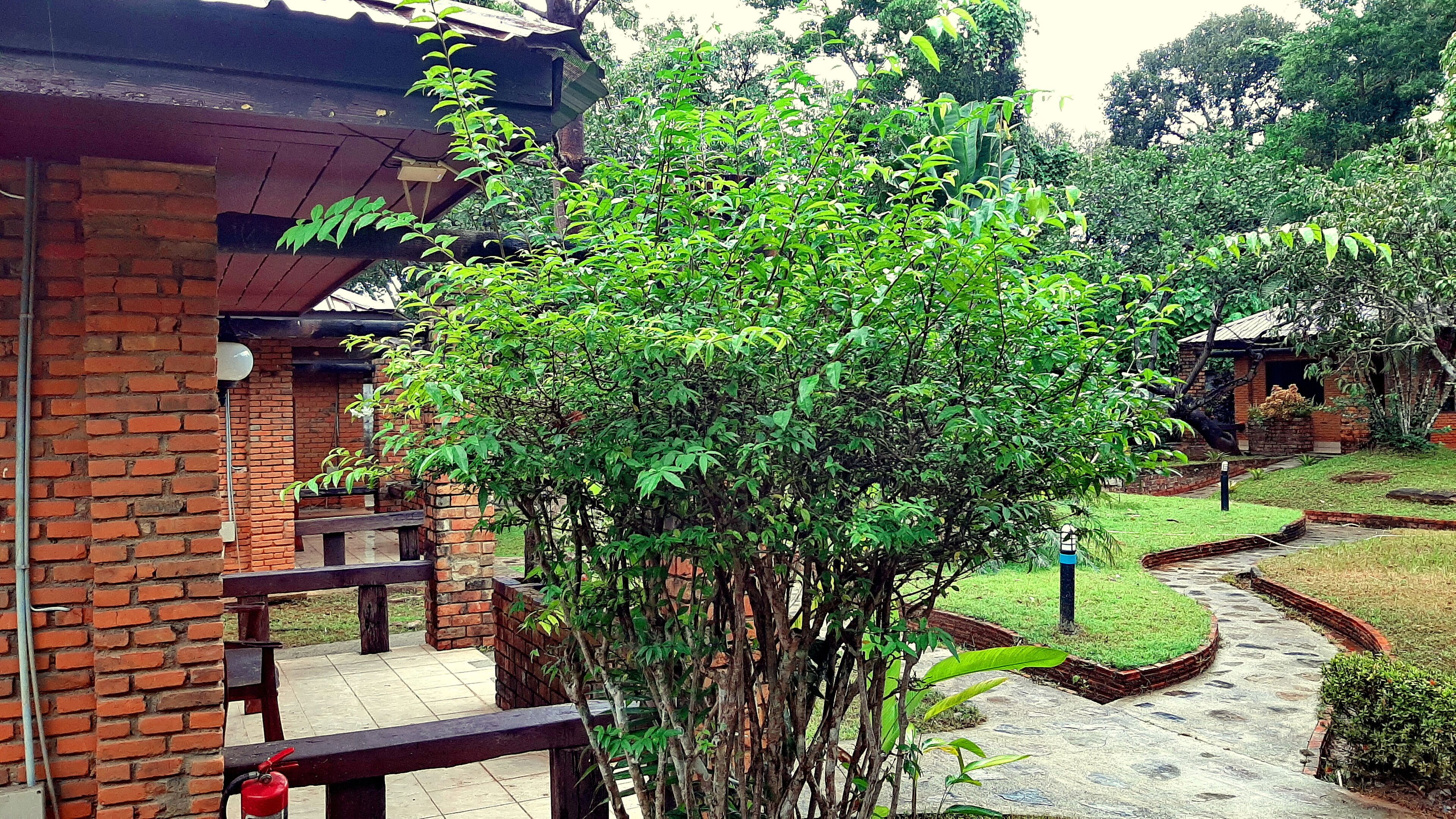 Doo Dee Boutique Resort by Swiss Chalet