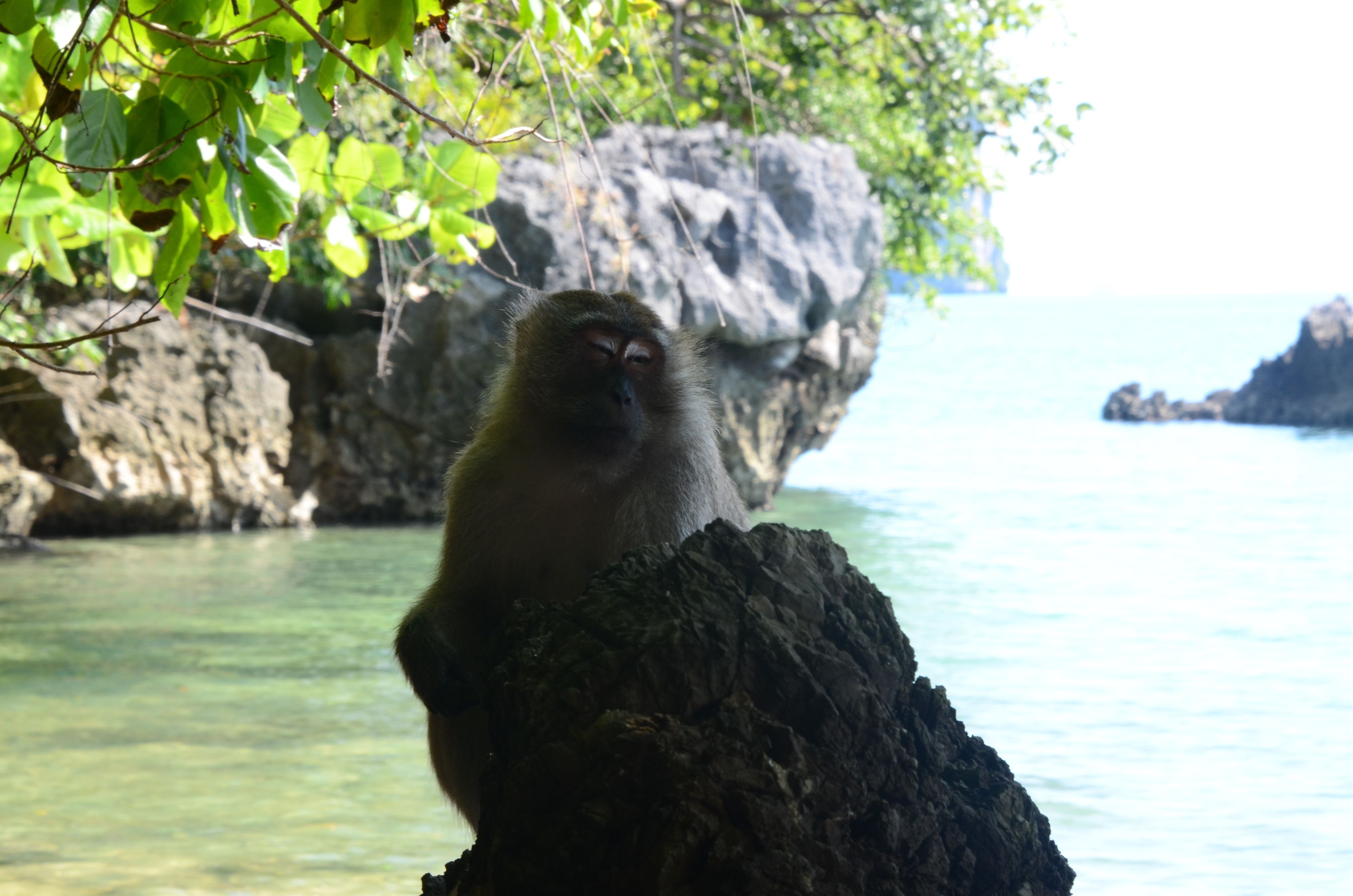Little Home Ao Nang