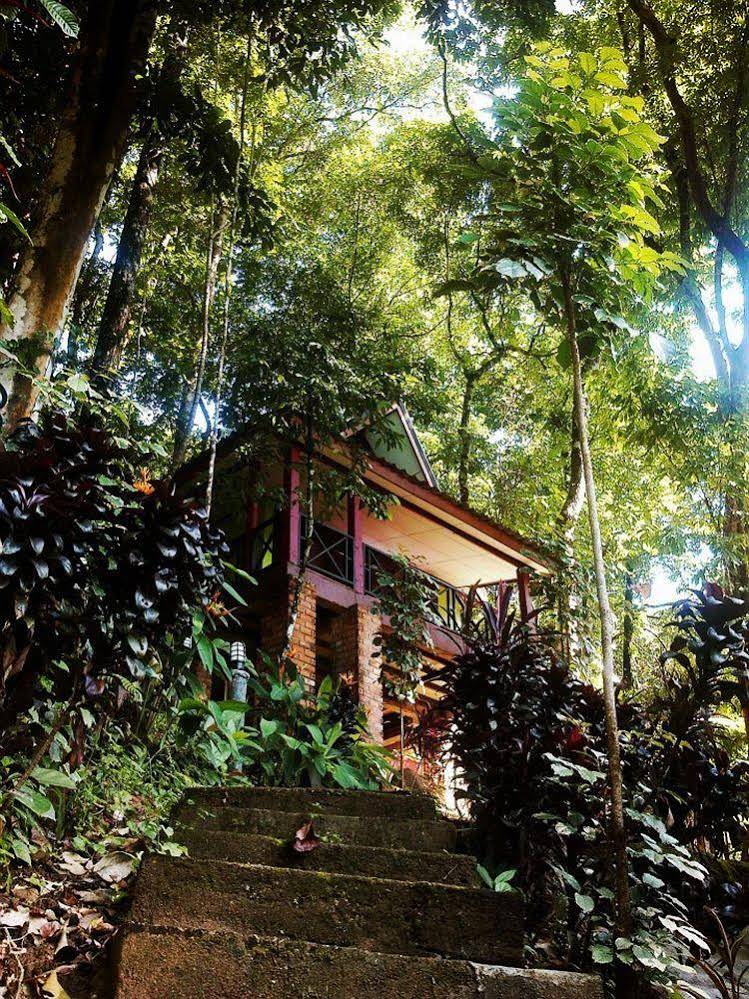 Khaosok Rainforest Resort