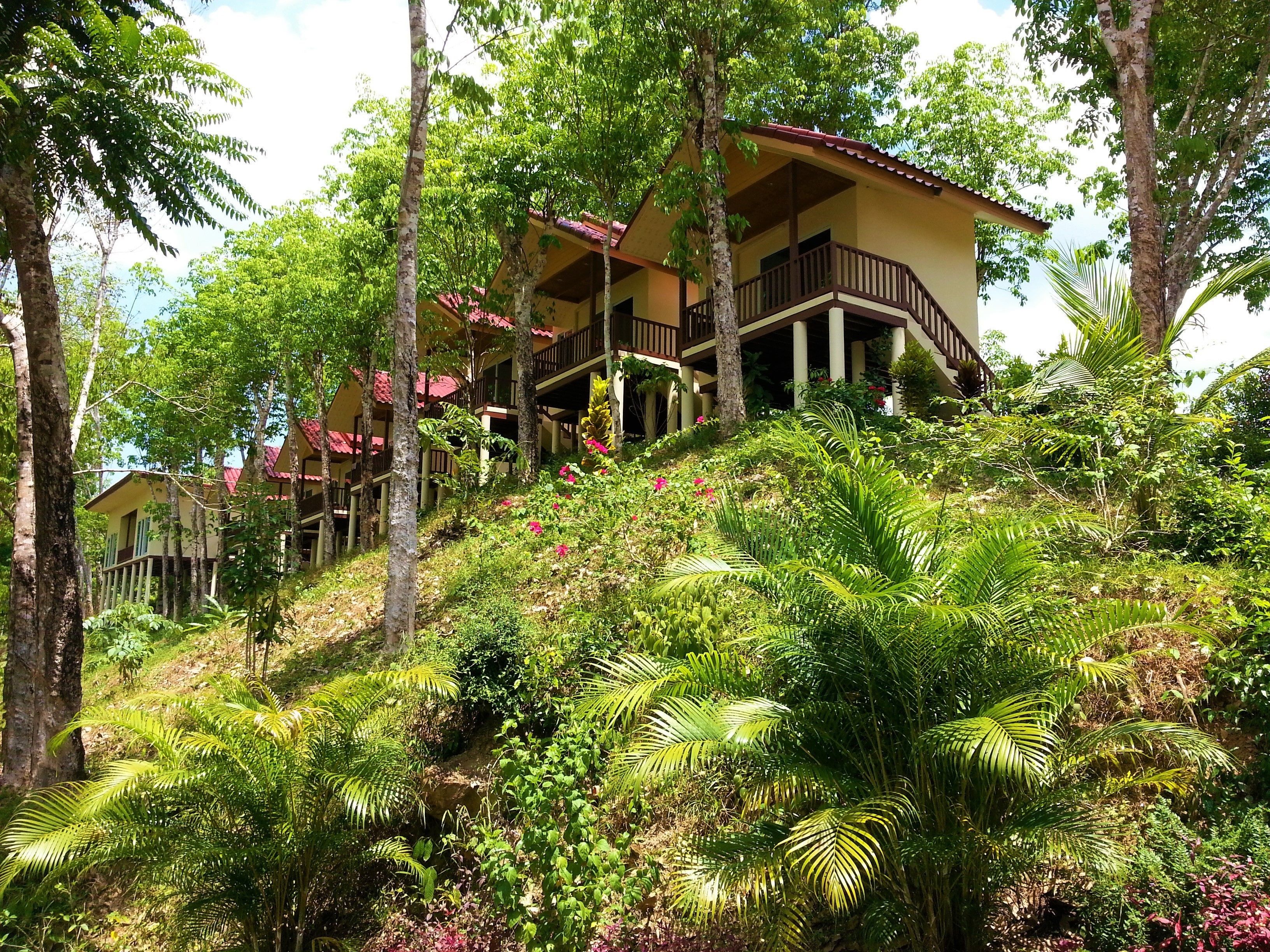 Khao Sok River Home Resort
