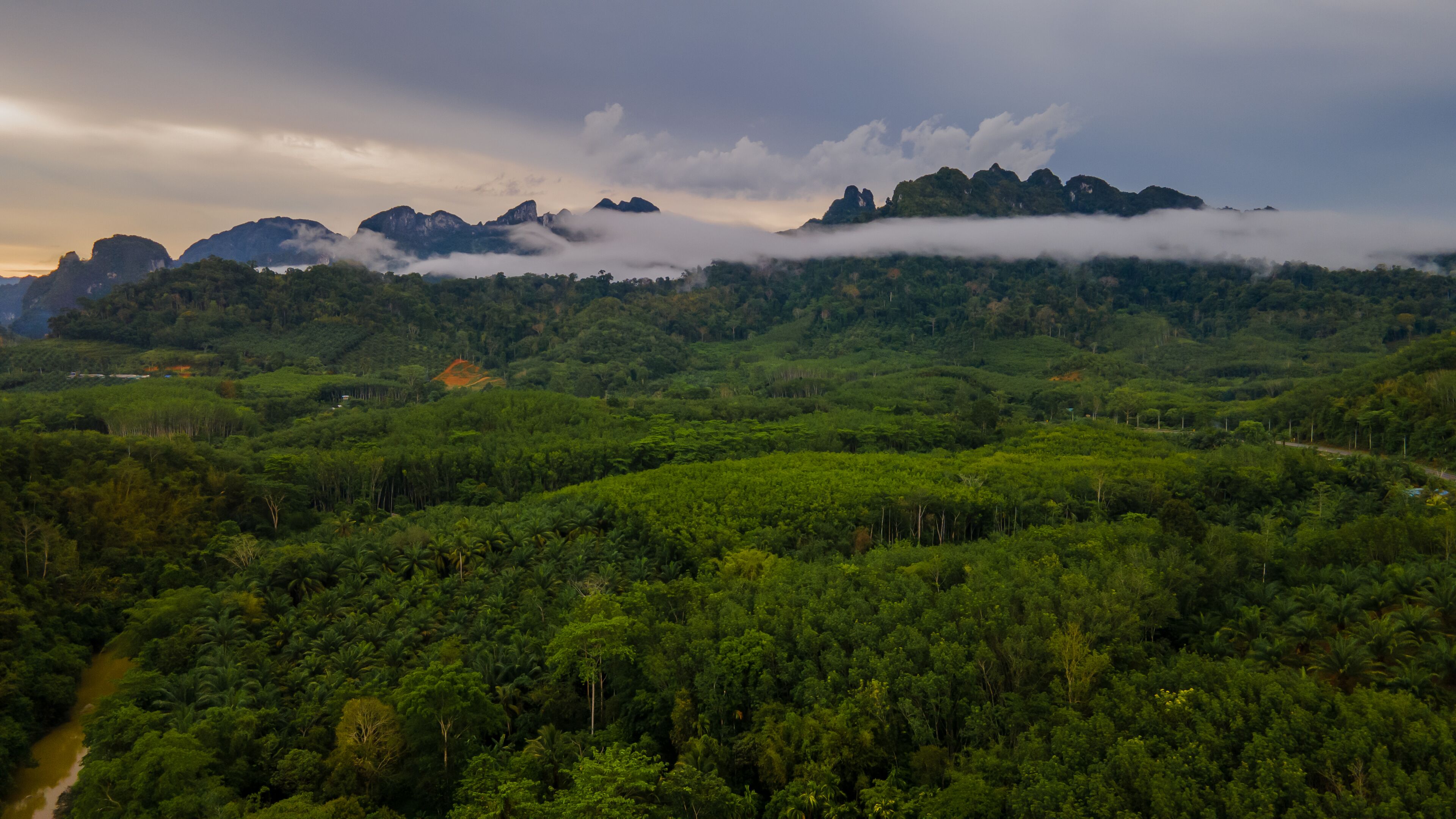 Khao Sok River Home Resort