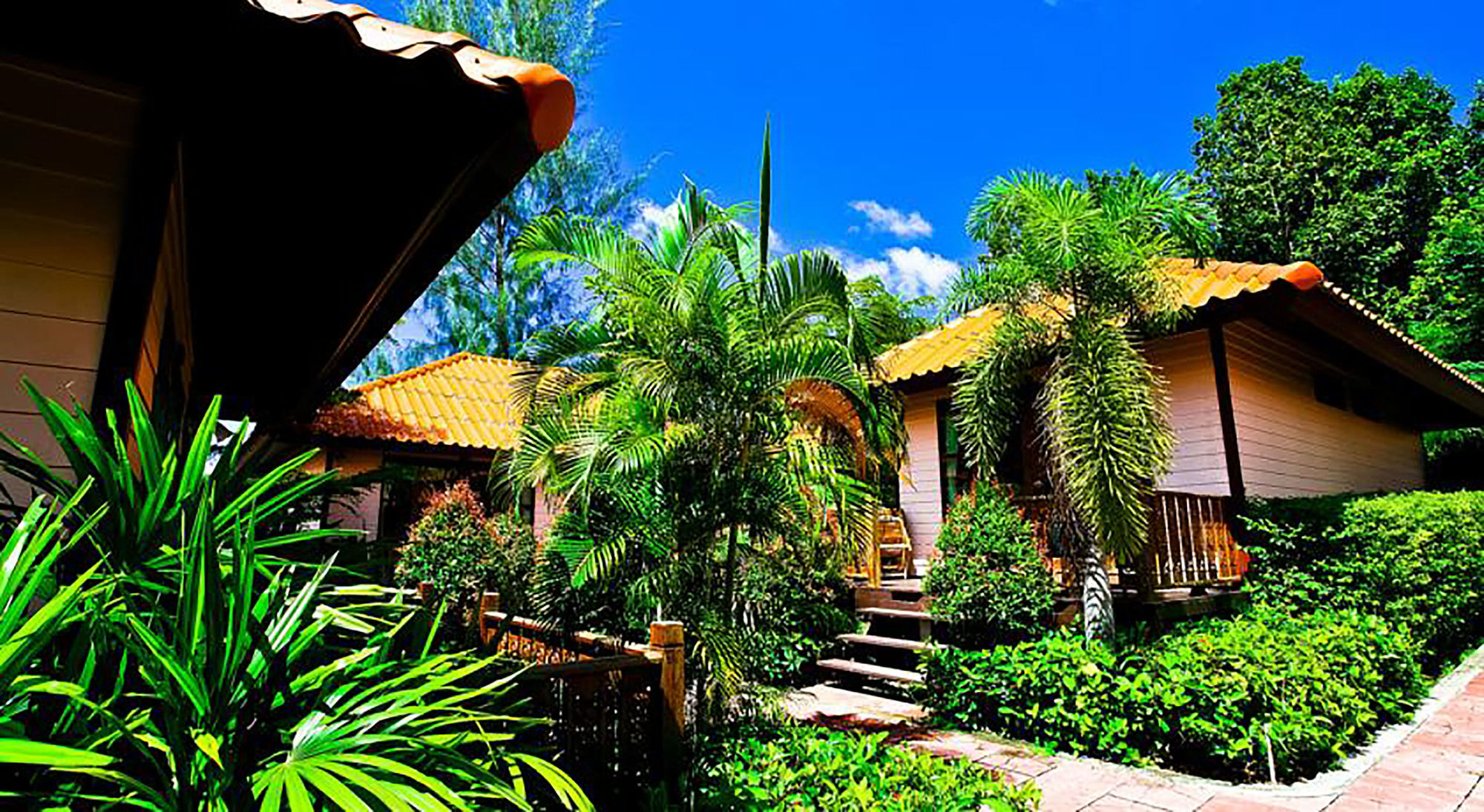 Ricci House Resort