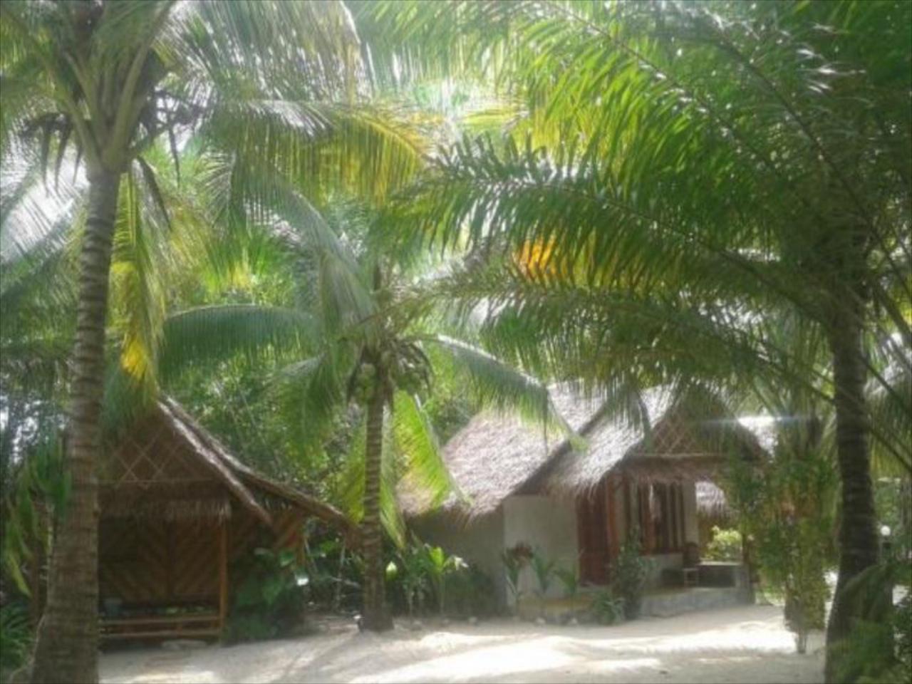 Bananas Bungalows