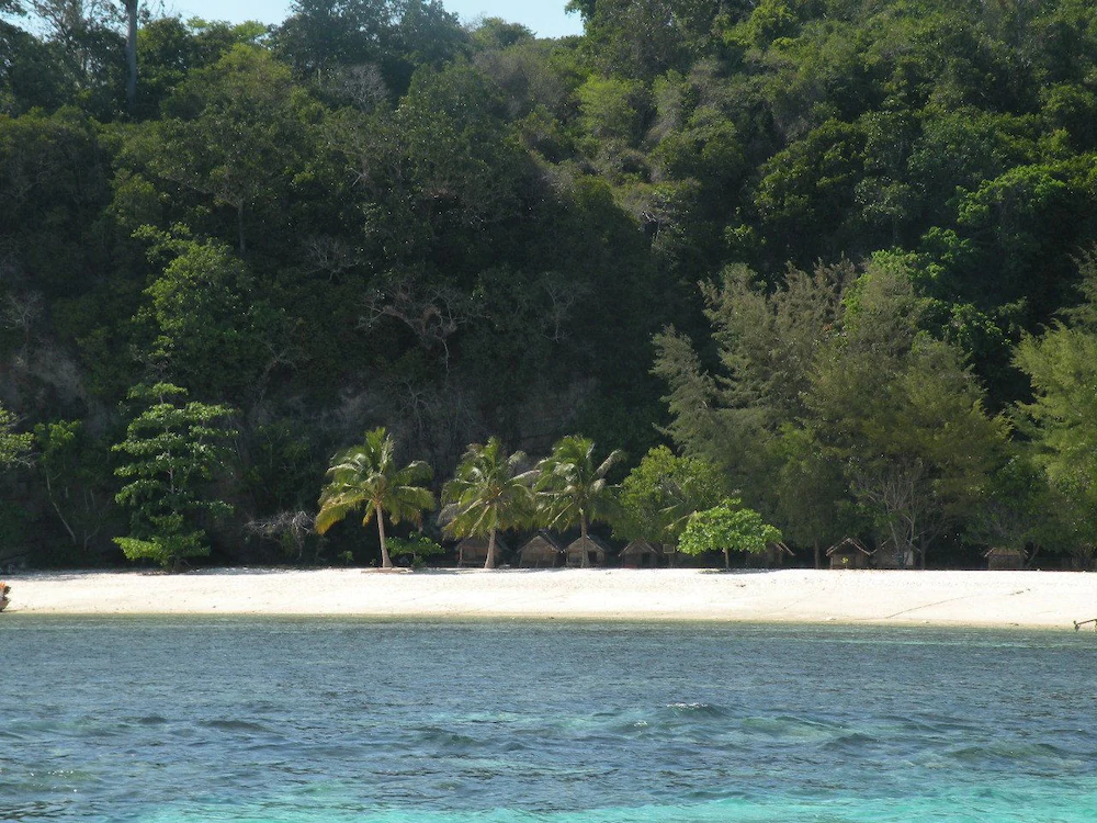 Coco's Guest House