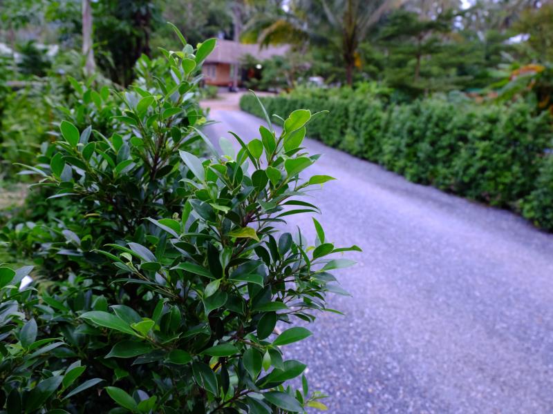 KiriRaya Resort & Spa