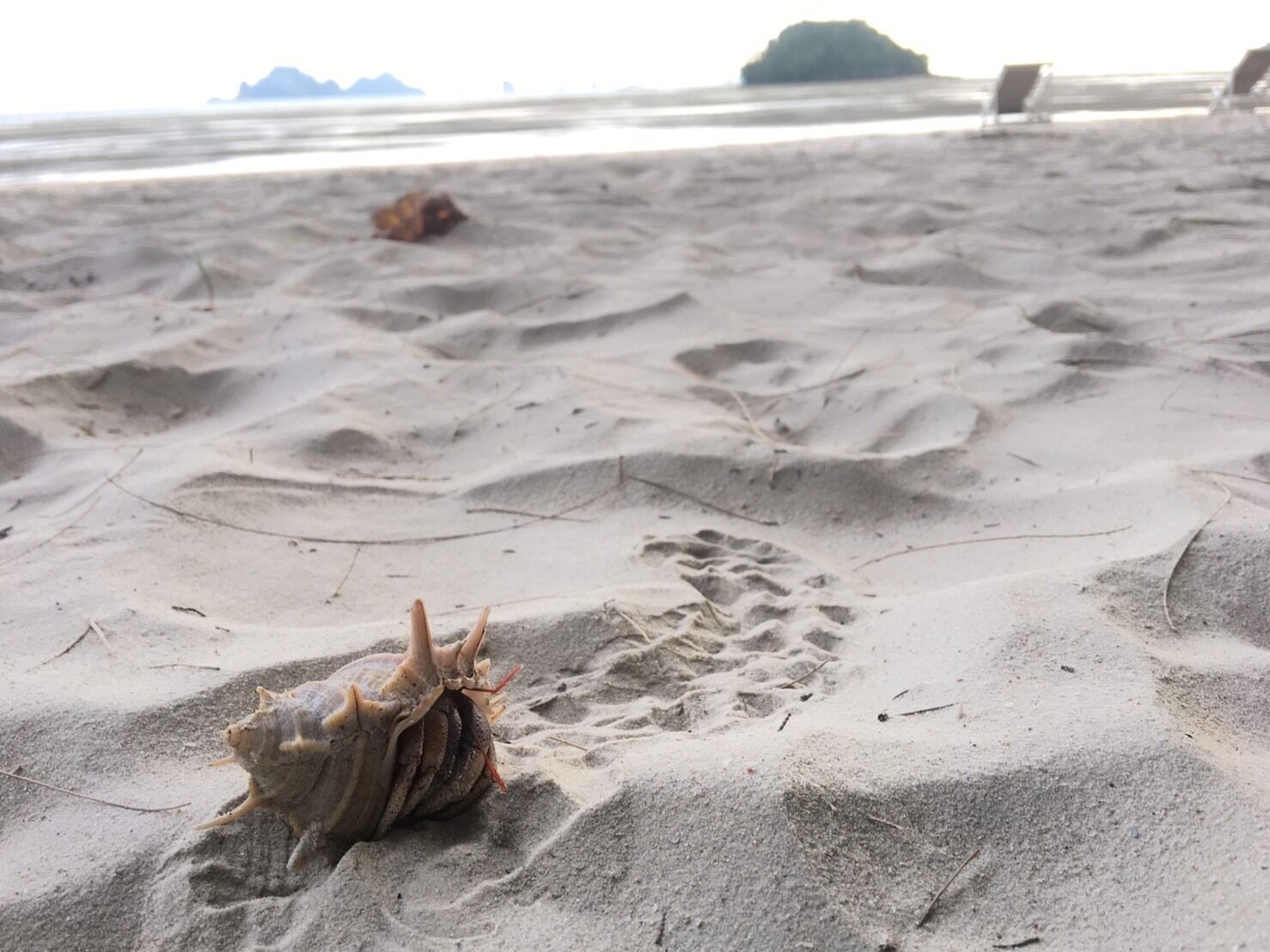 PAN Beachfront Resort Krabi