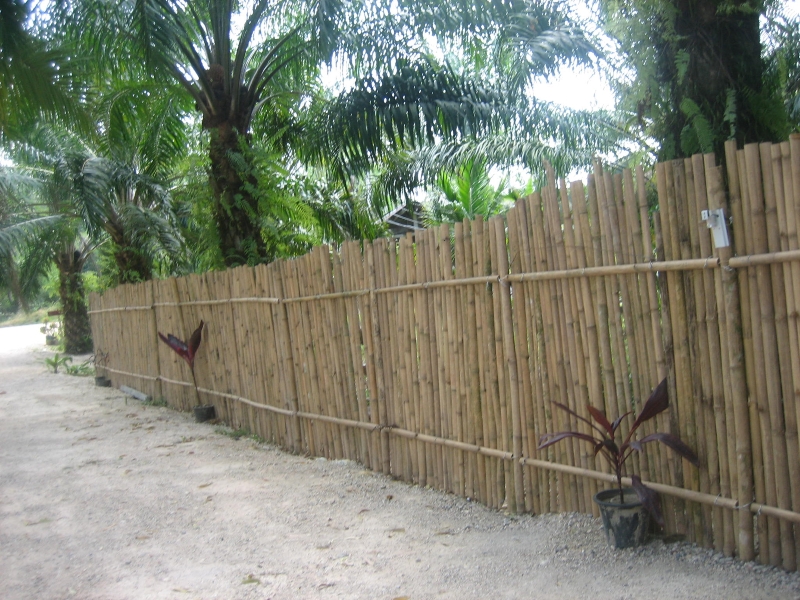 The S.K.Y Resort