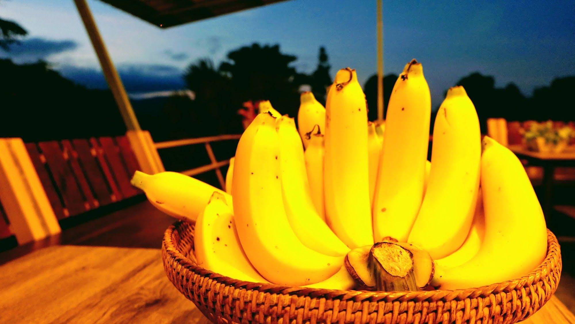 Chongko Farm Stay