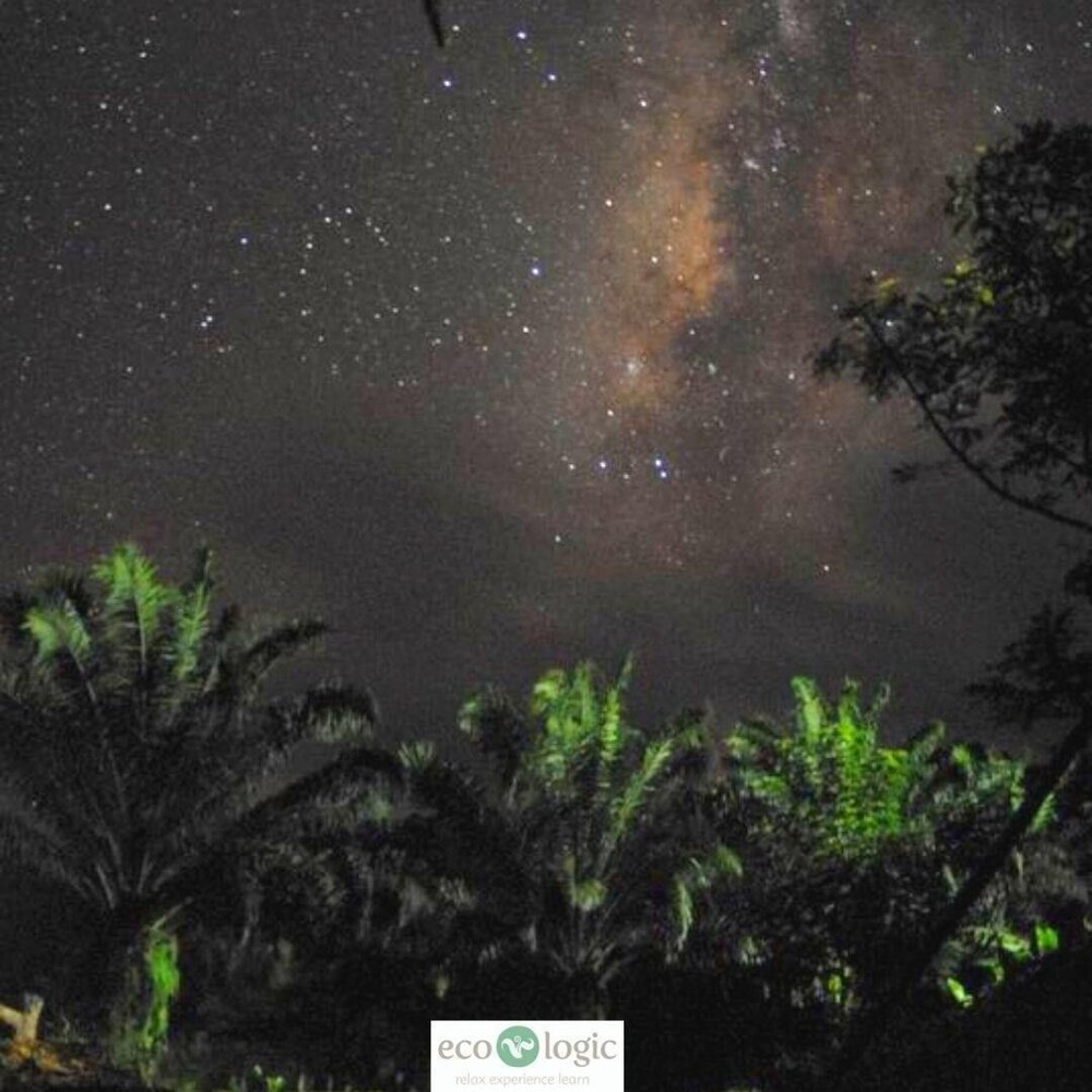 Eco-Logic Thailand