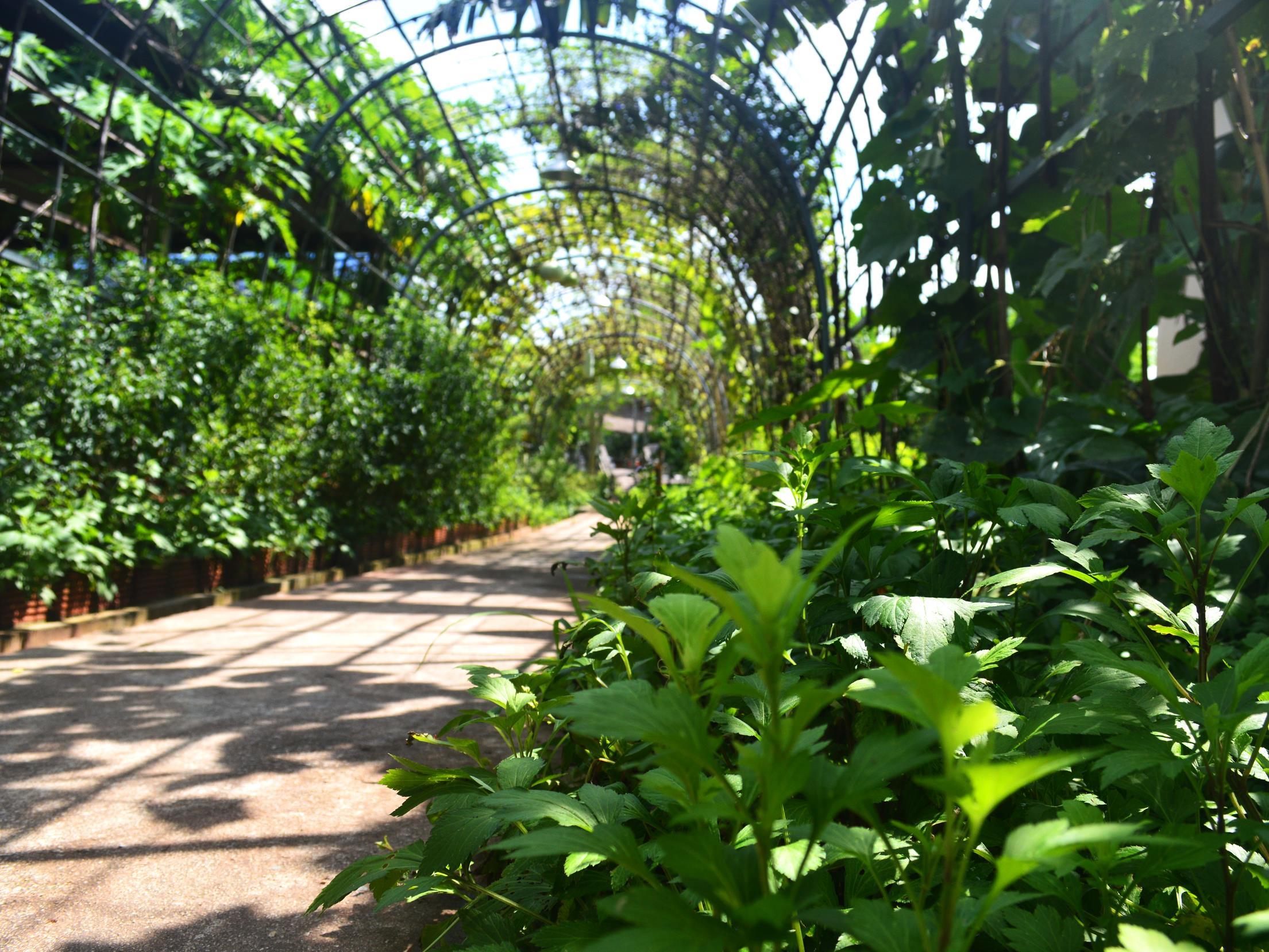 Be Fine Sabuy Hotel And Resort