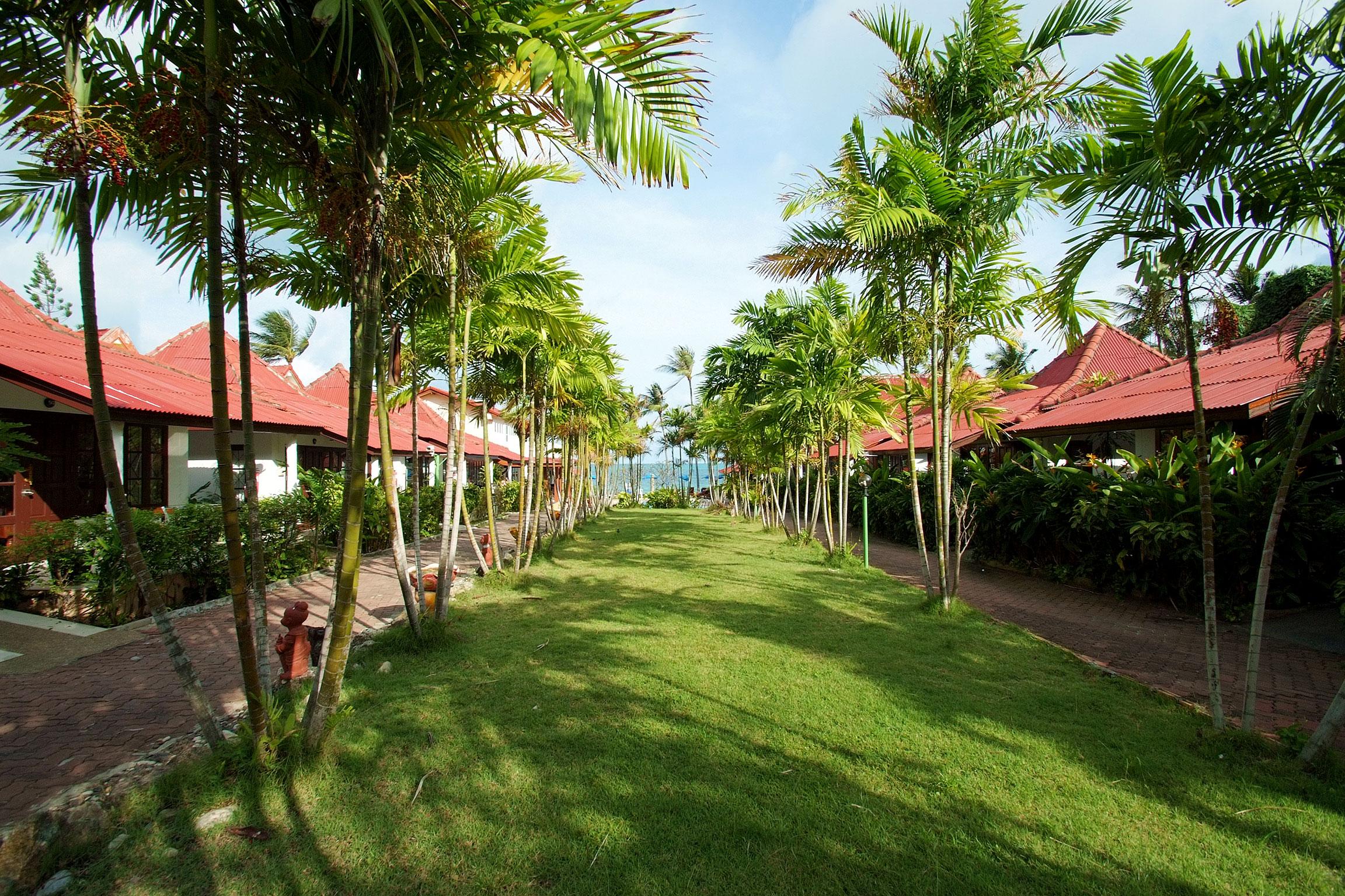 Chaweng Resort