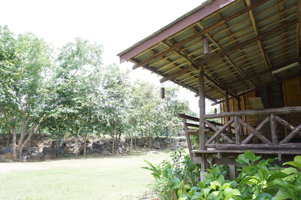 Donsak Orchid Resort