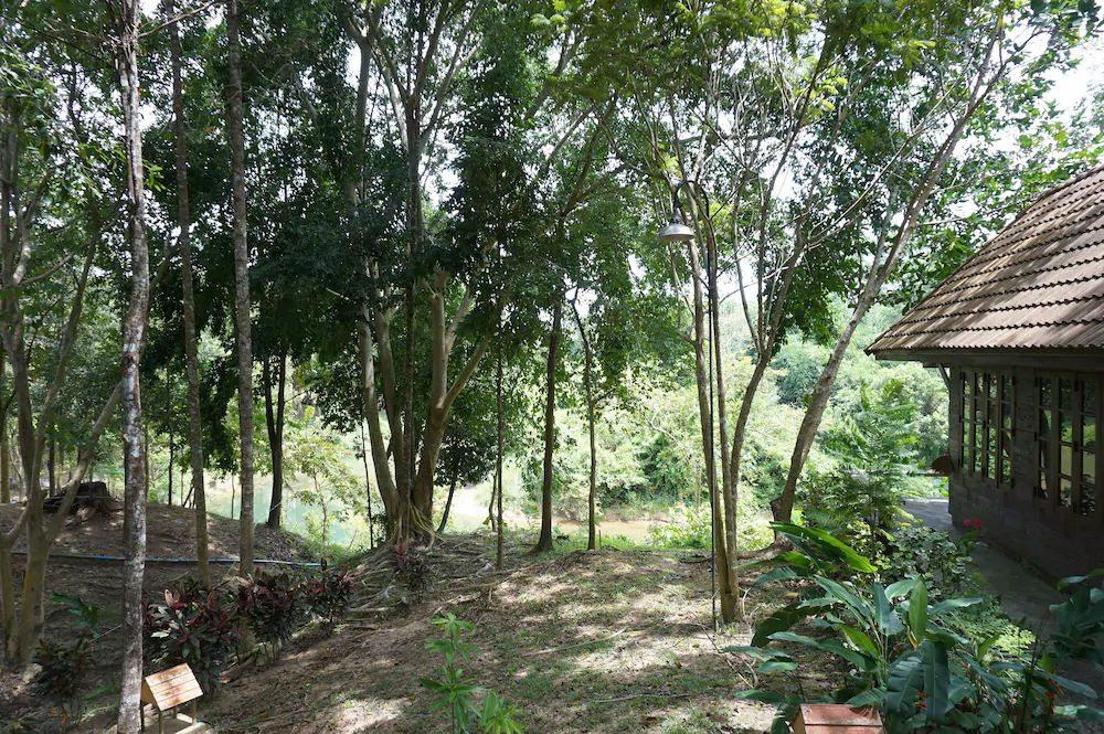 Donsak Orchid Resort