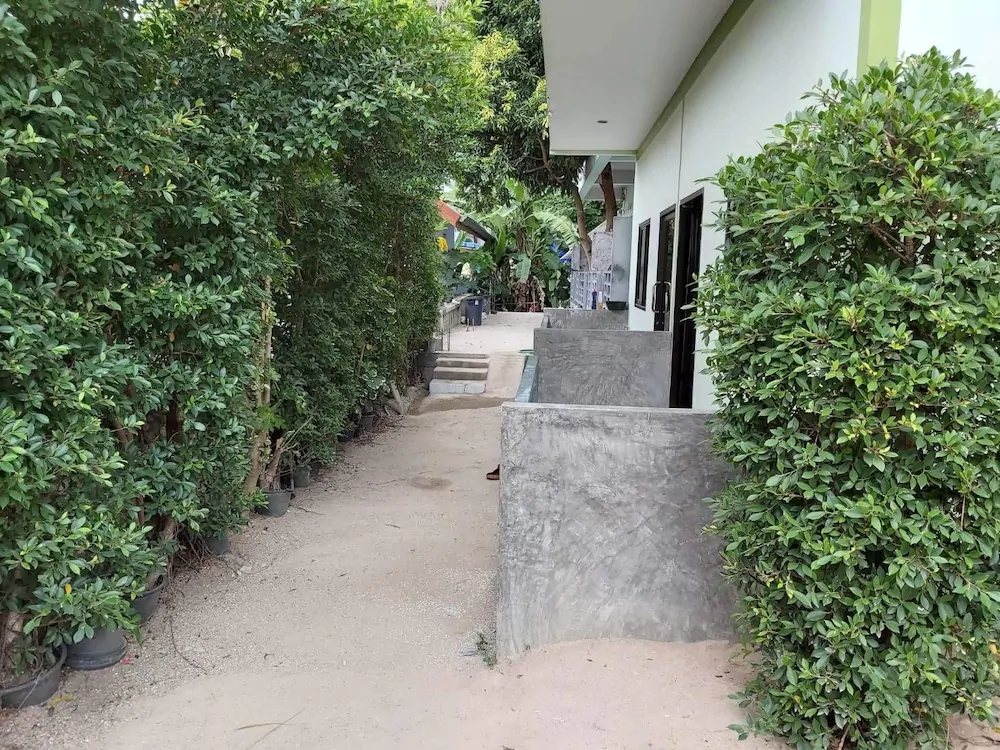 Dr.Banana's House