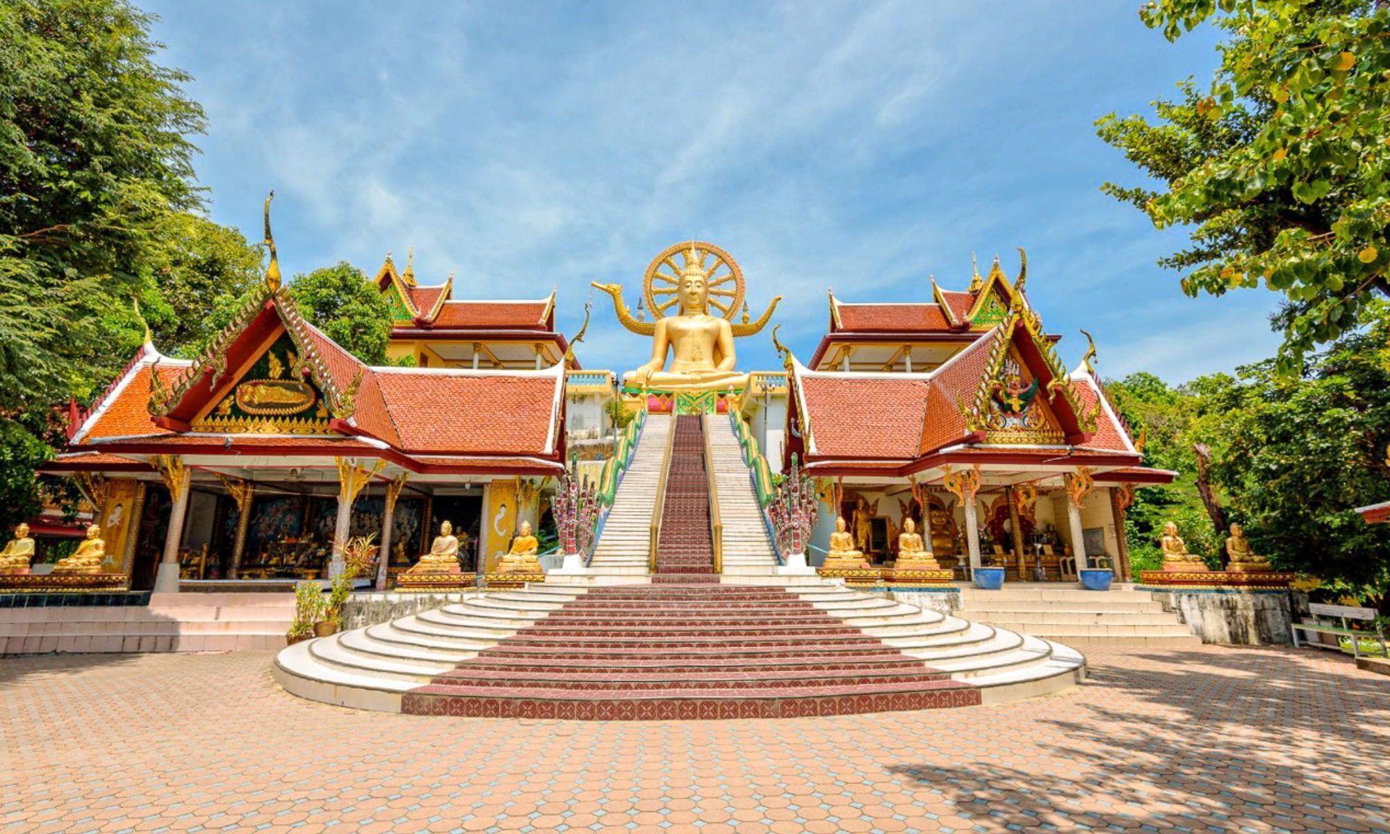 Marasca Samui