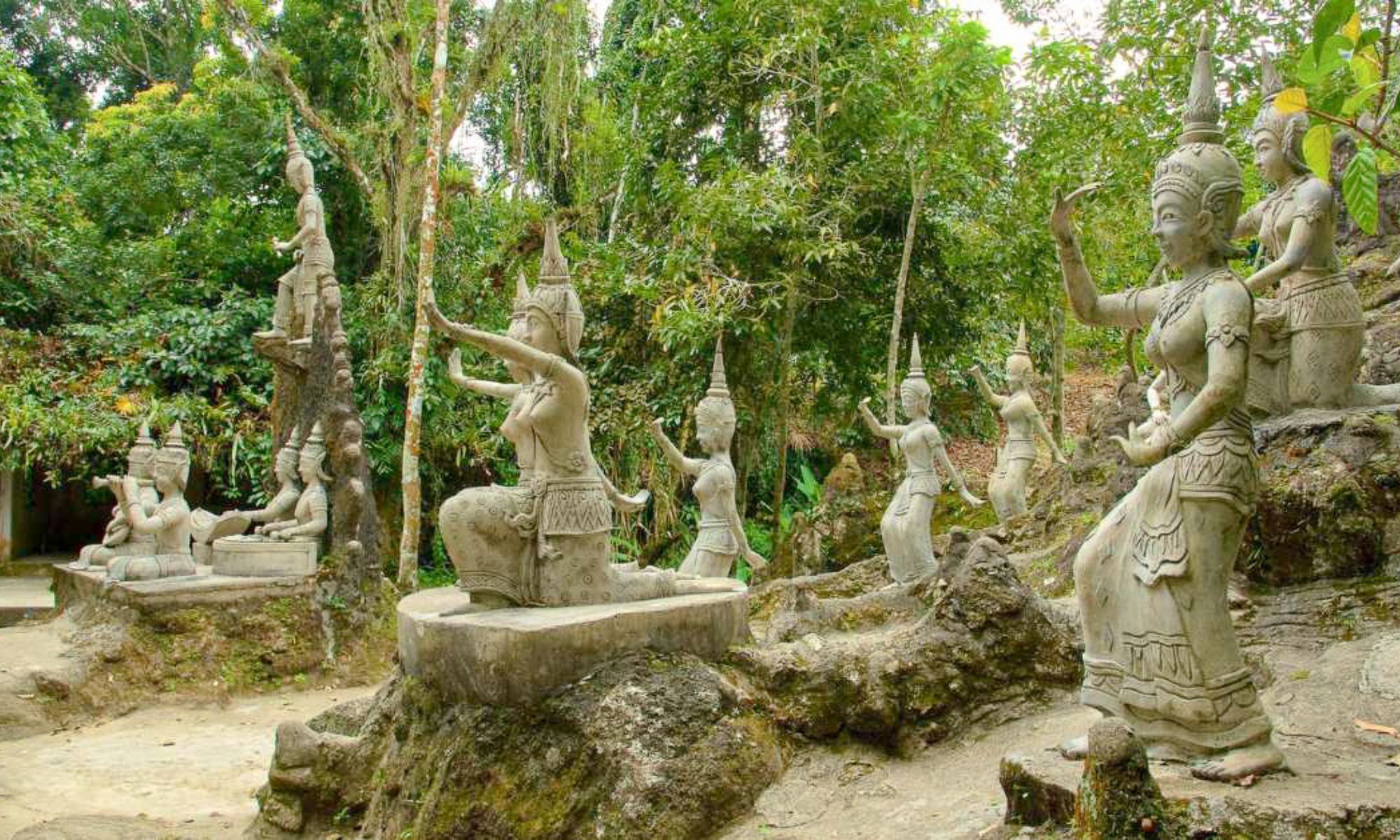 Marasca Samui
