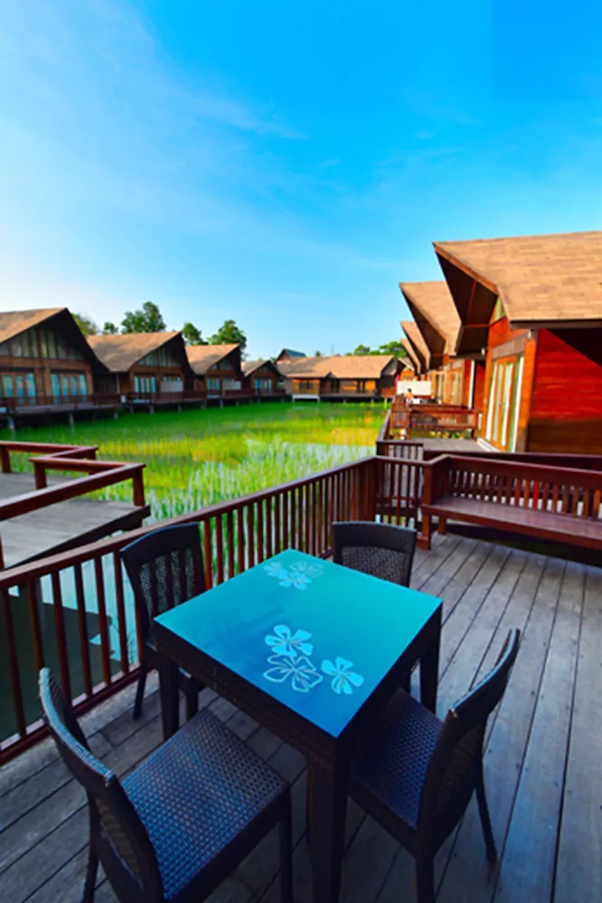 Rice Farm Villa