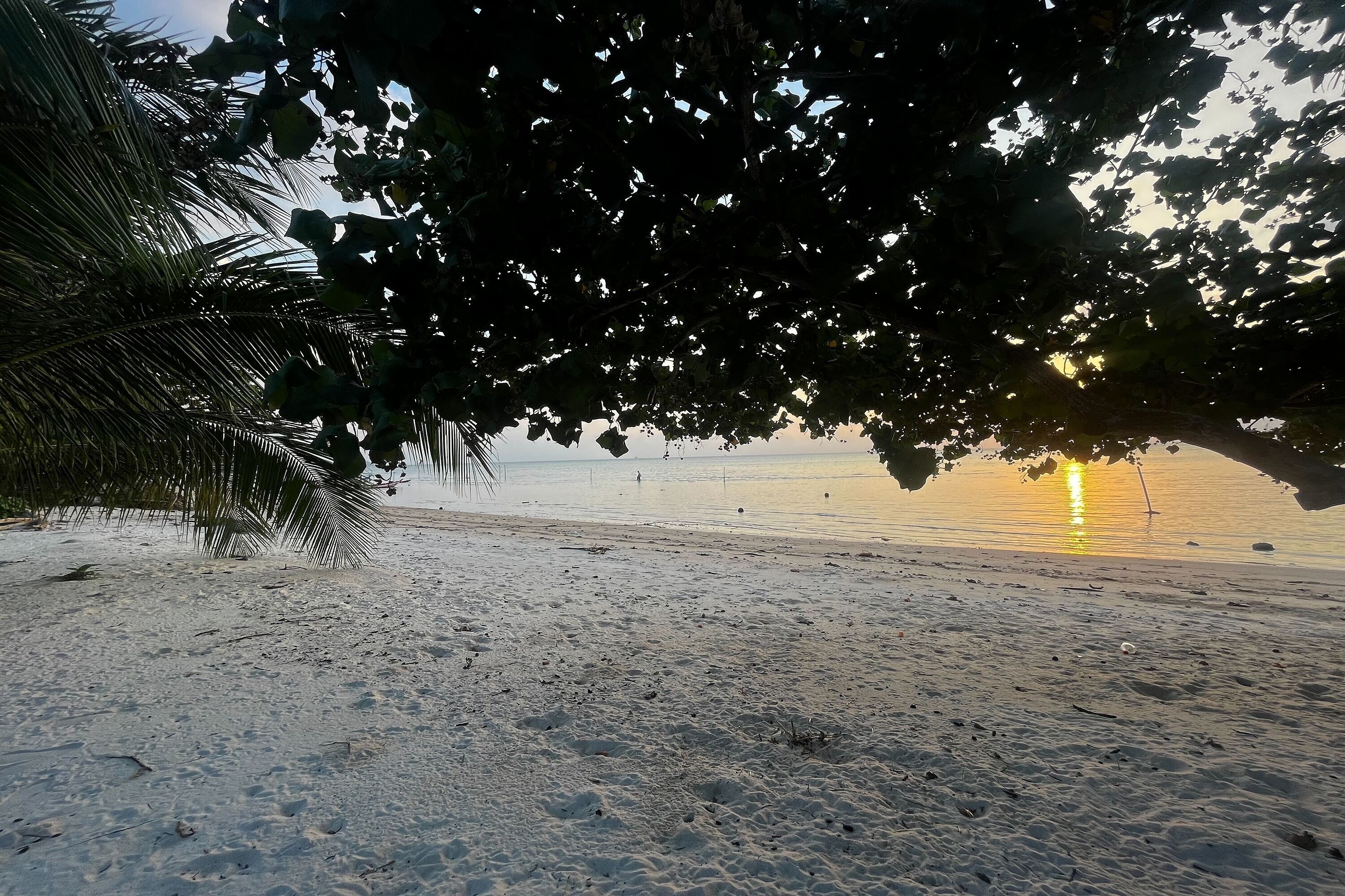Room Beach Samui