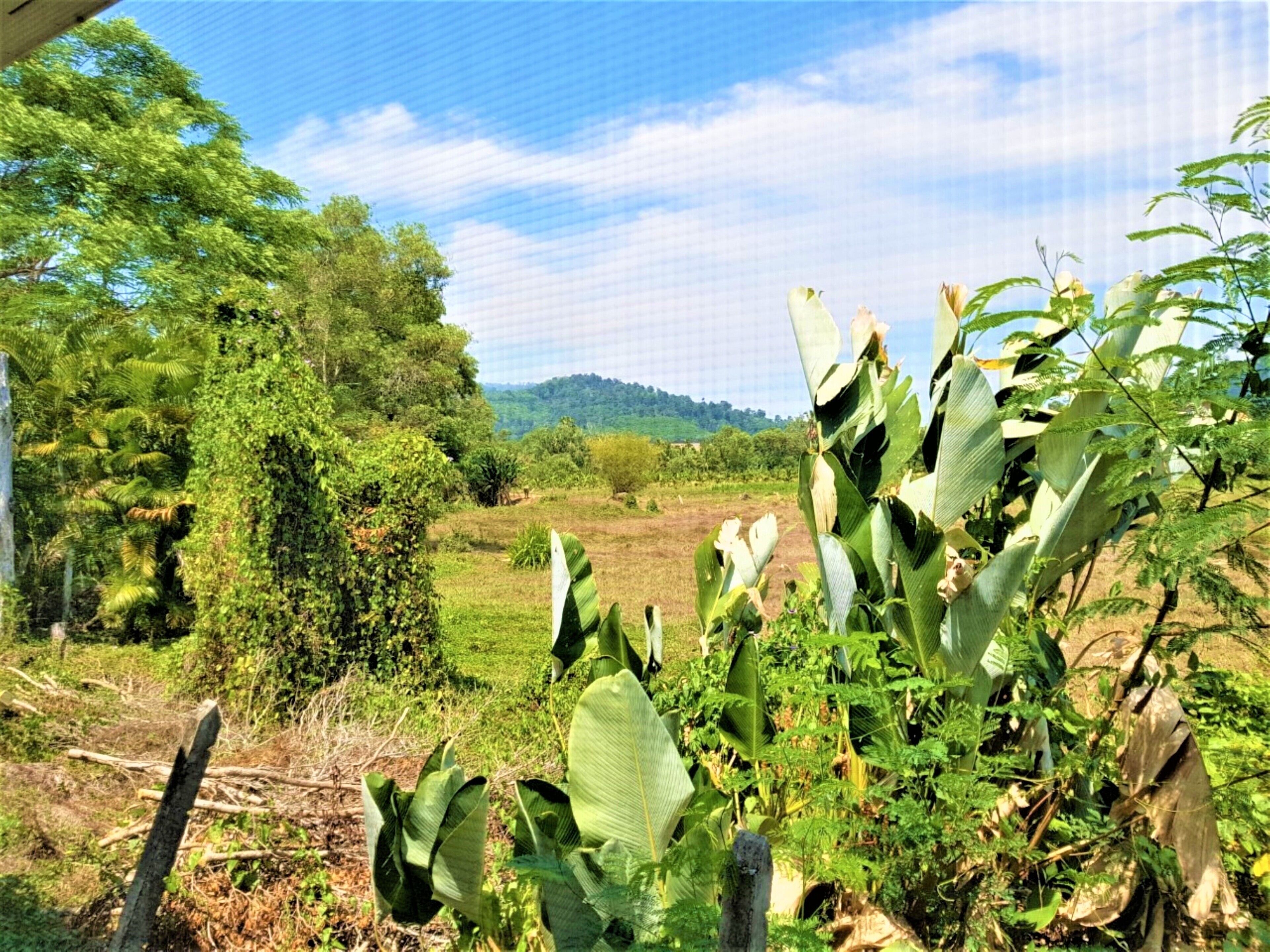 Nestvilla Khok-Kloi Phang-Nga
