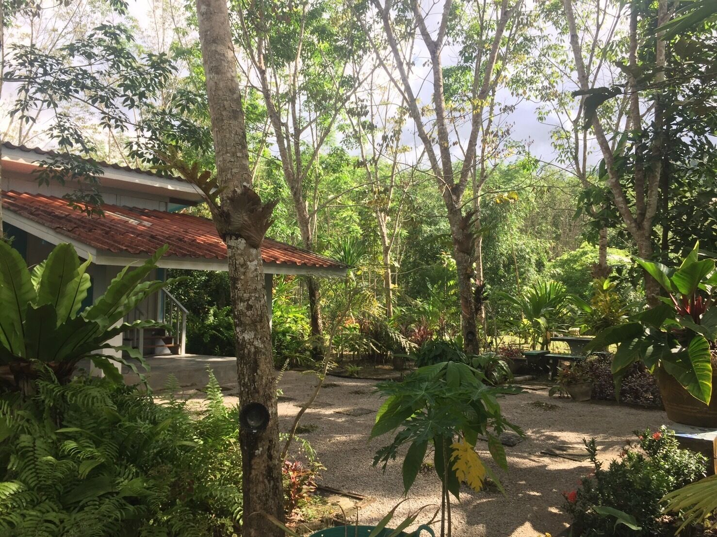 Baansuan Suksangob Farm Stay