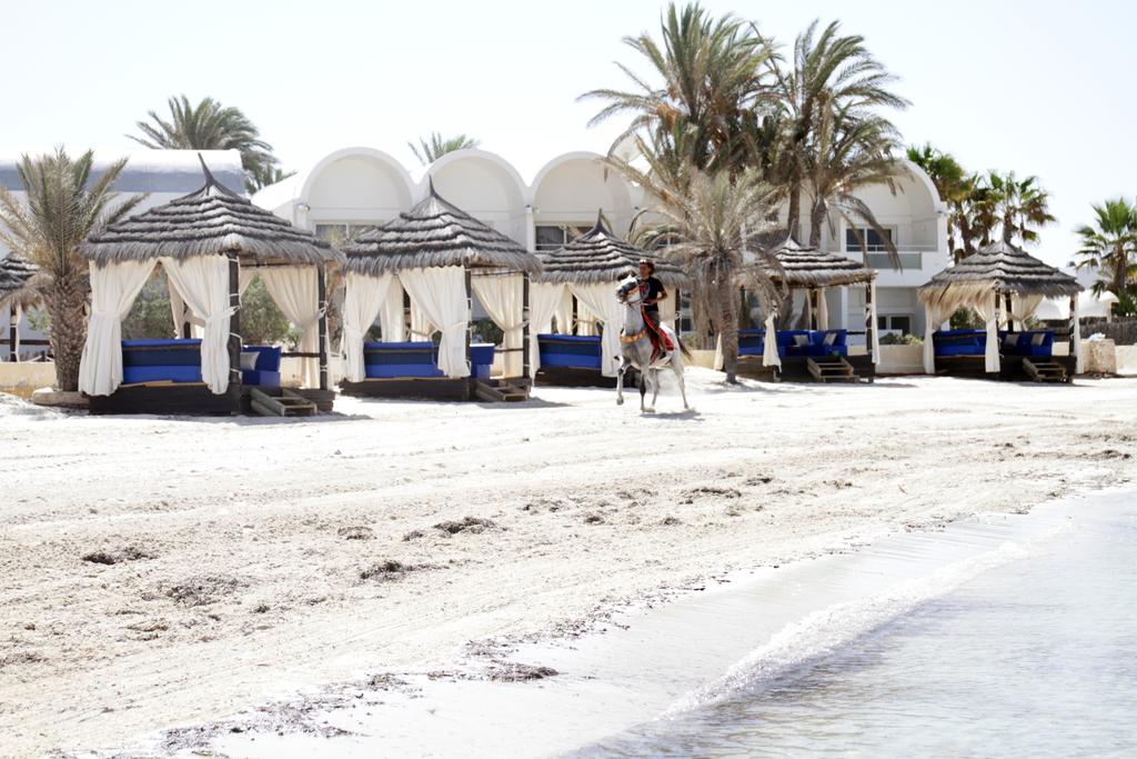 Monarque Dar Jerba Zahra
