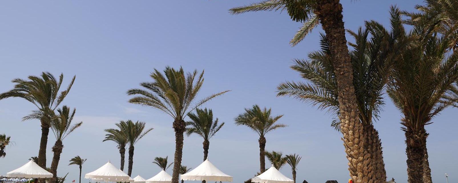 Hotel Al Jazira Beach & Spa