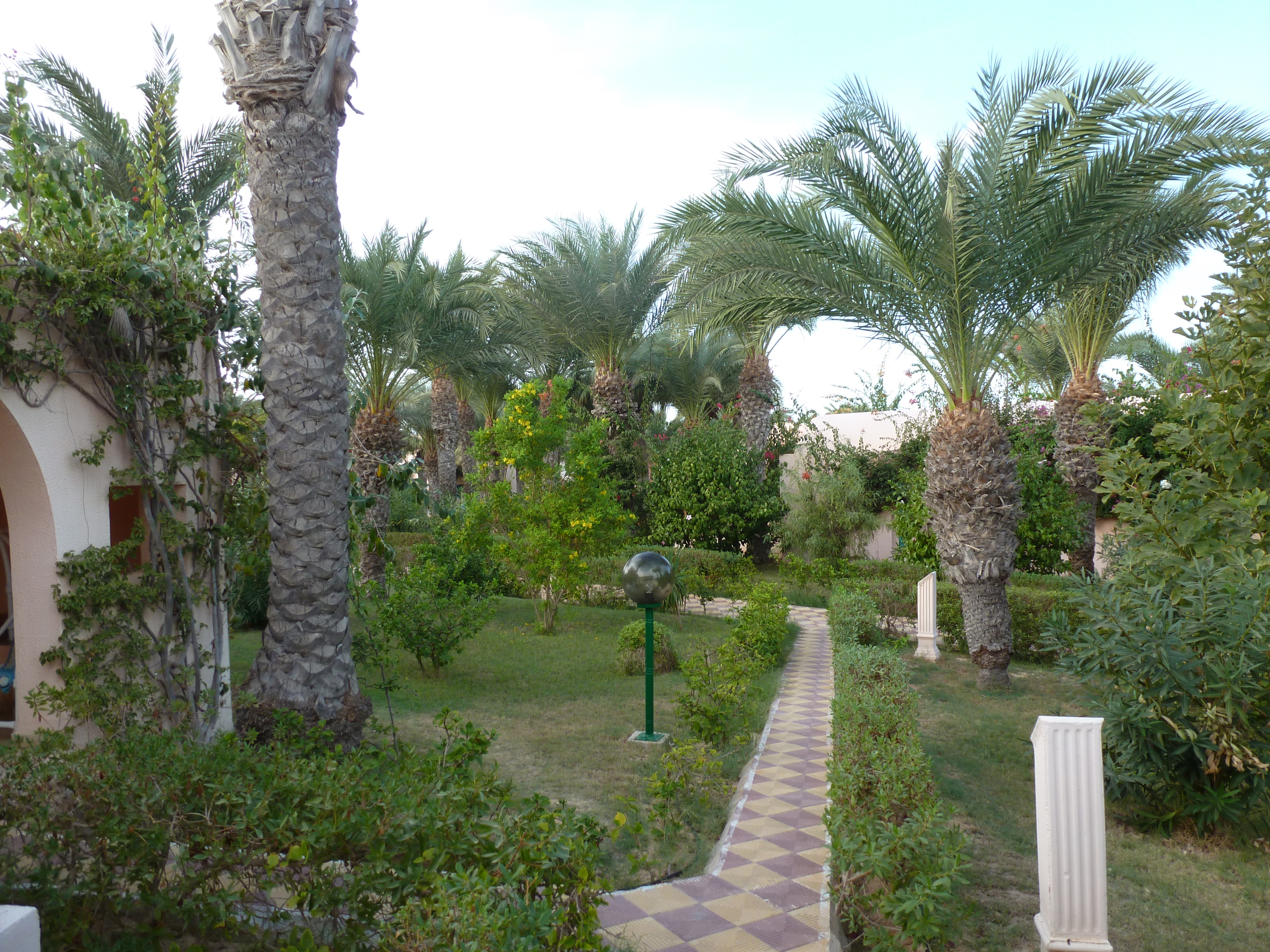 Club Oasis Marine
