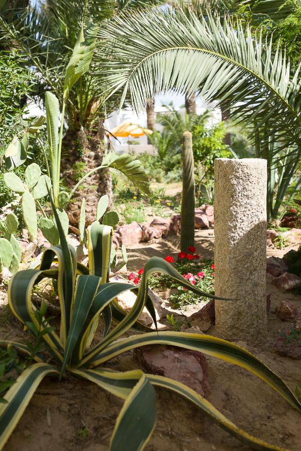 The Sindbad