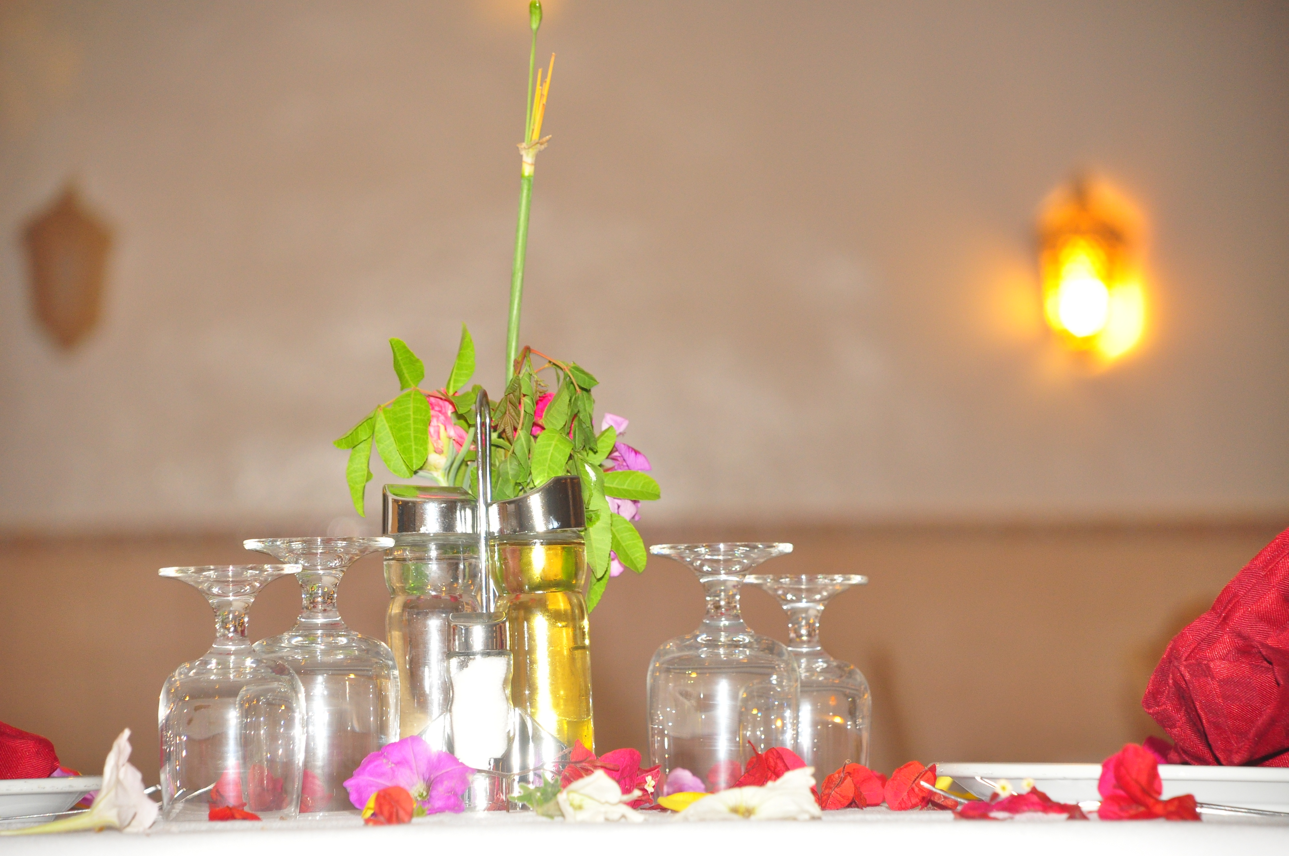 Cyclamens Mechmoum Hotel