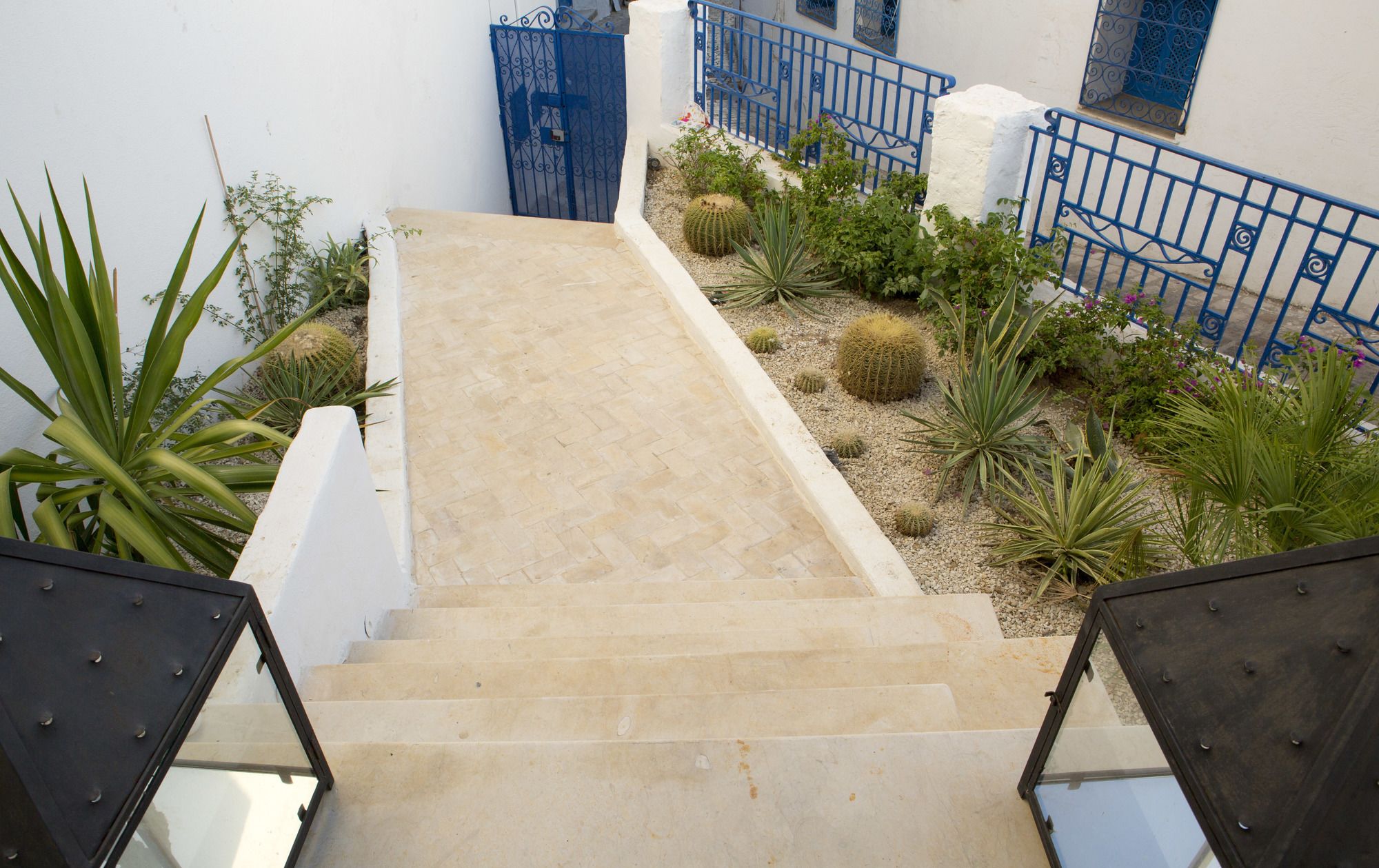 Dar Indigo