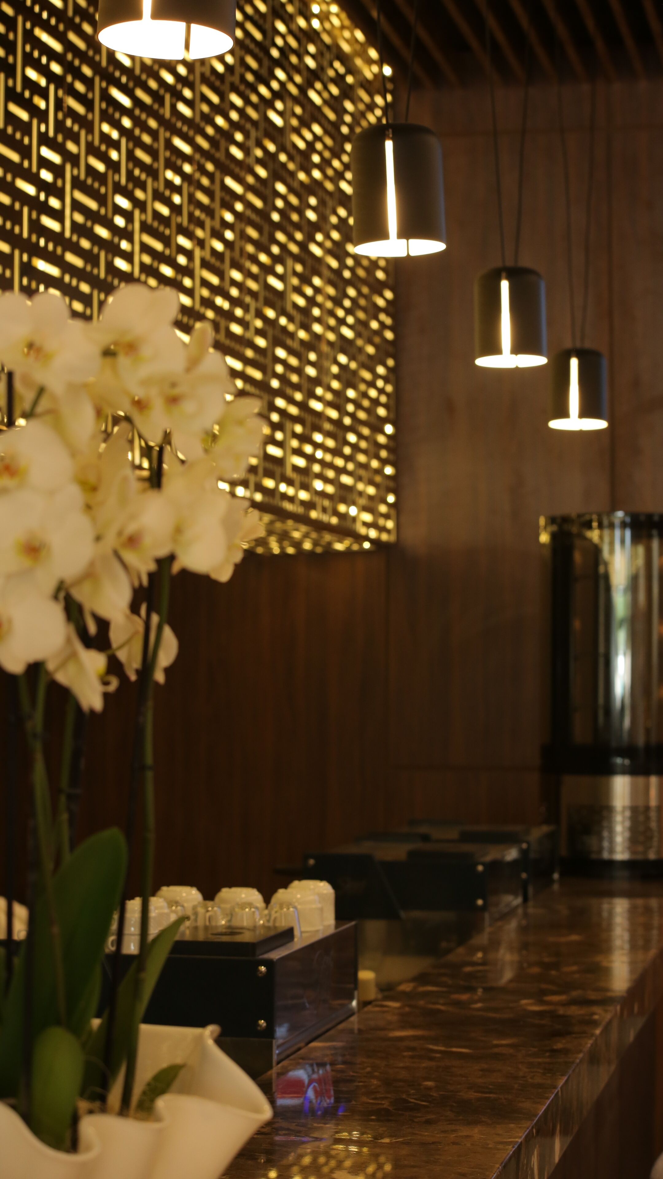 Hotel Royal Asbu