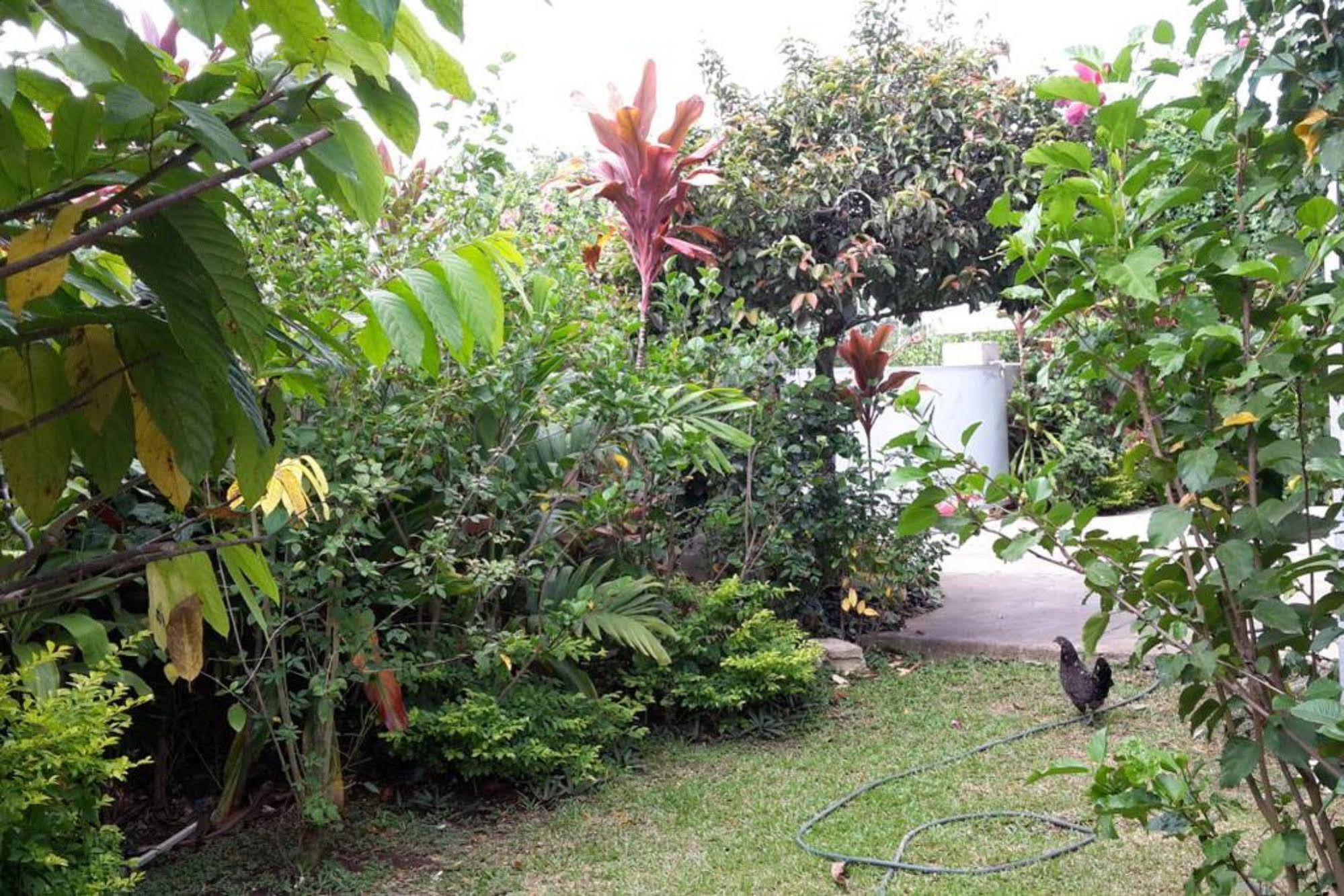 Dayspring B&B Lodge