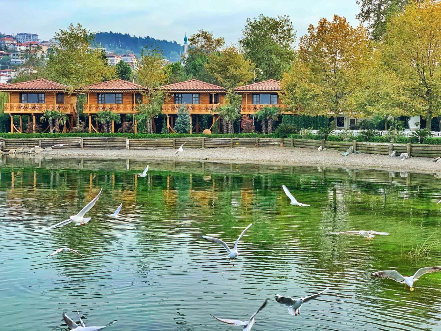 SASA SAPANCA Hotel & Restaurant