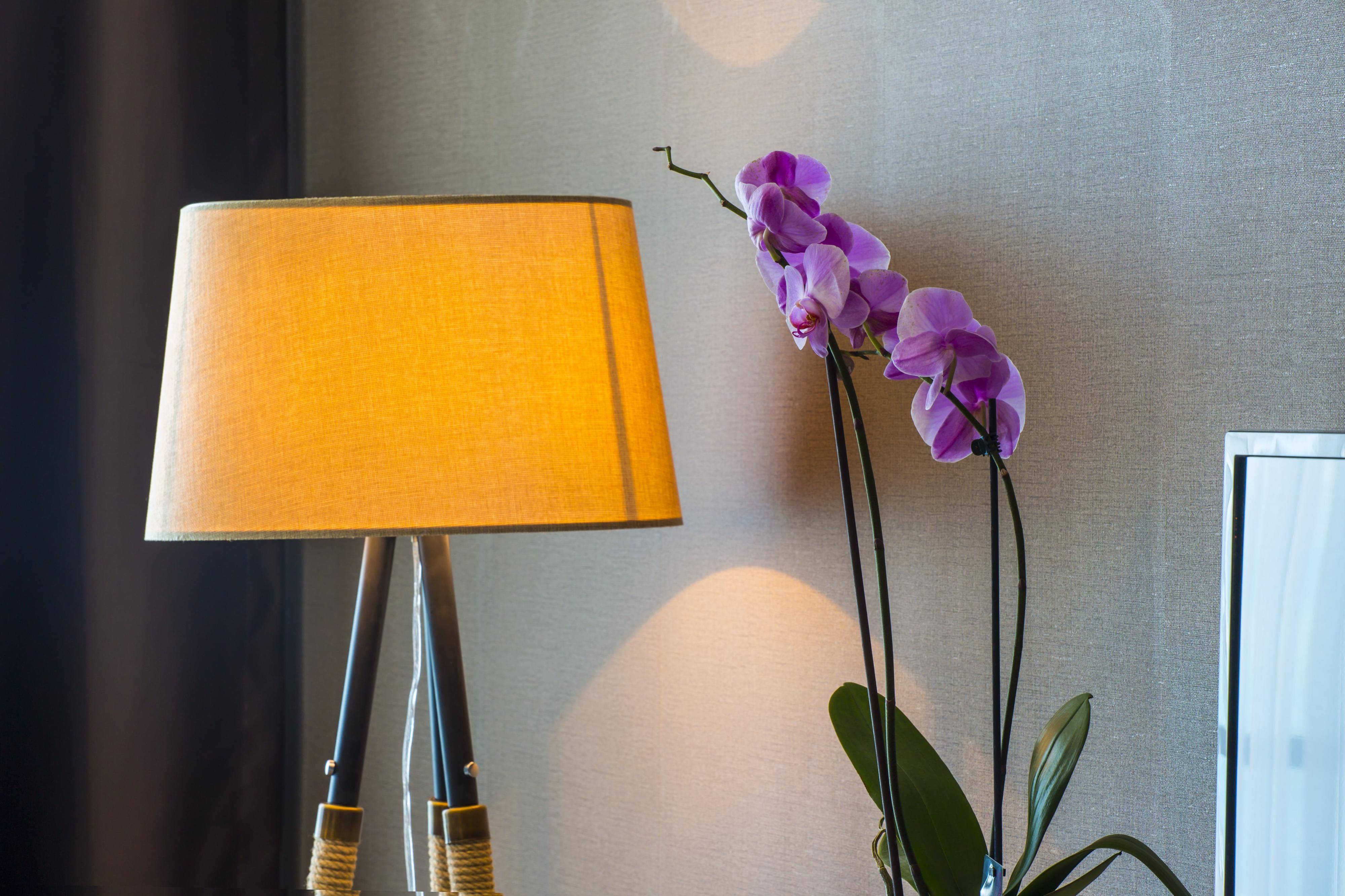 Royal Comfort Hotel
