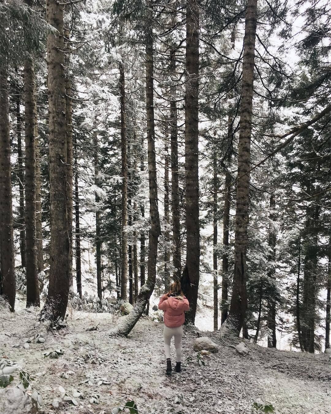 Tepedebiyer Restoran & Bungalov