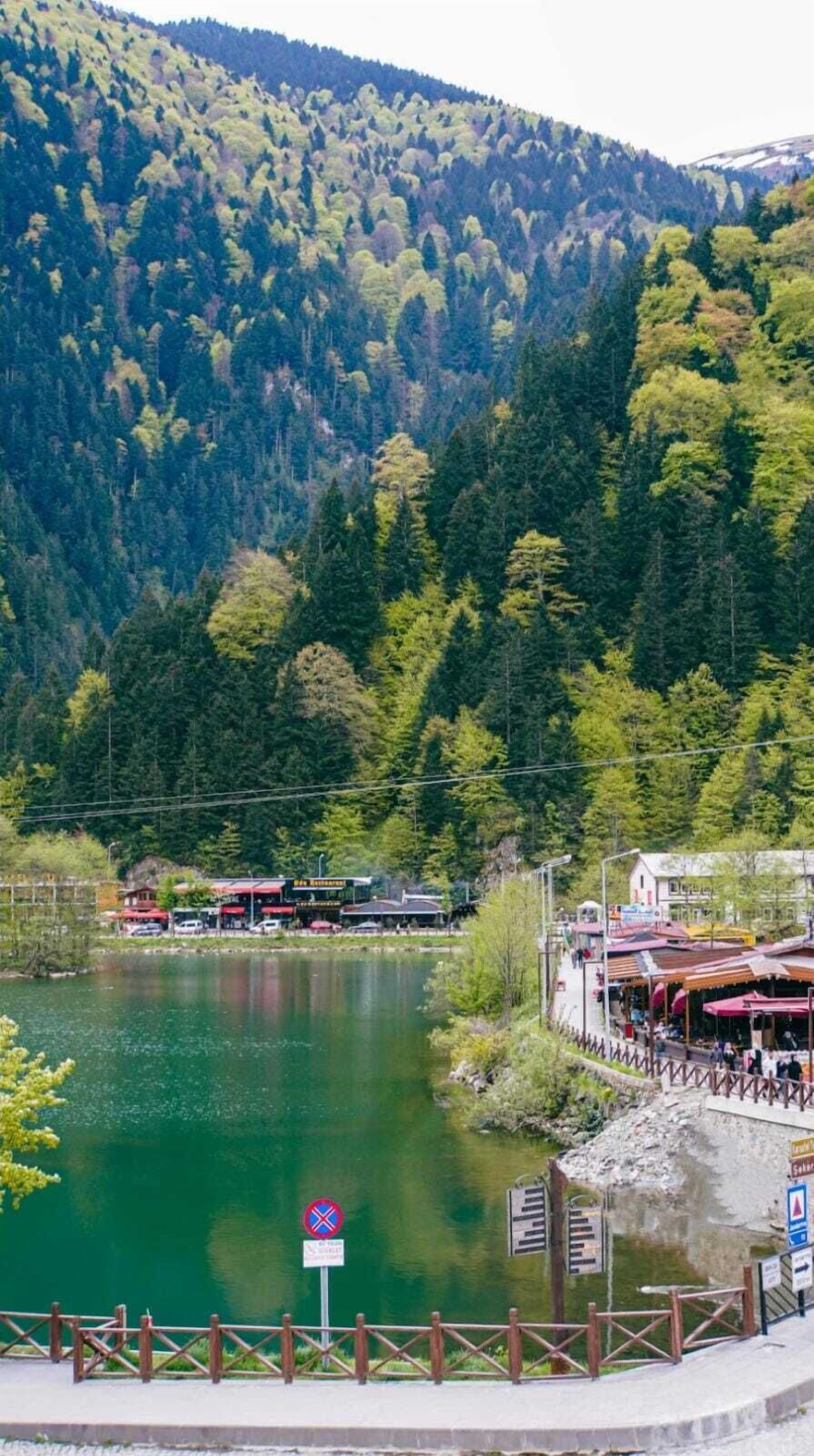 Dear Otel Uzungol