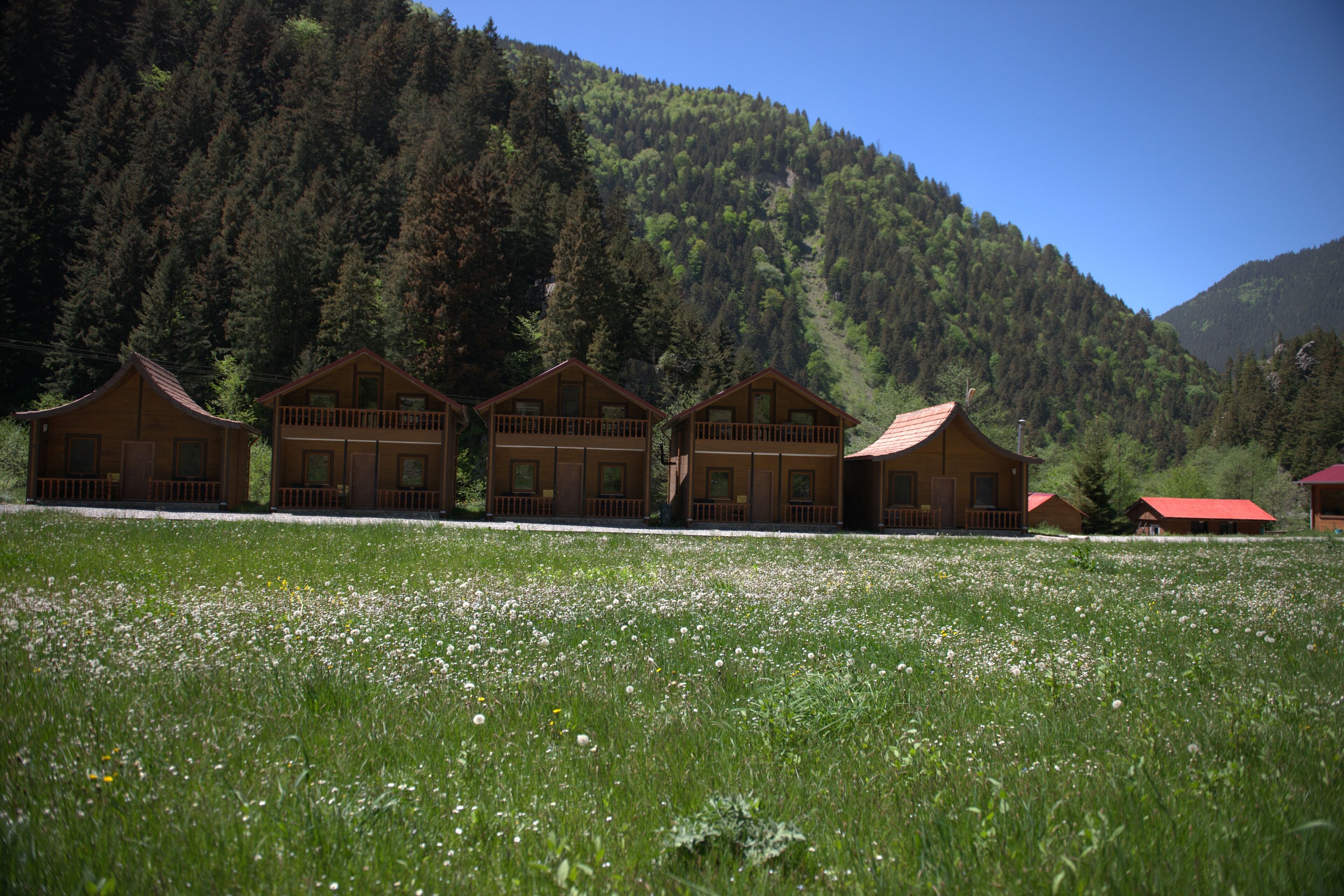 Yesil Irmak Bungalow