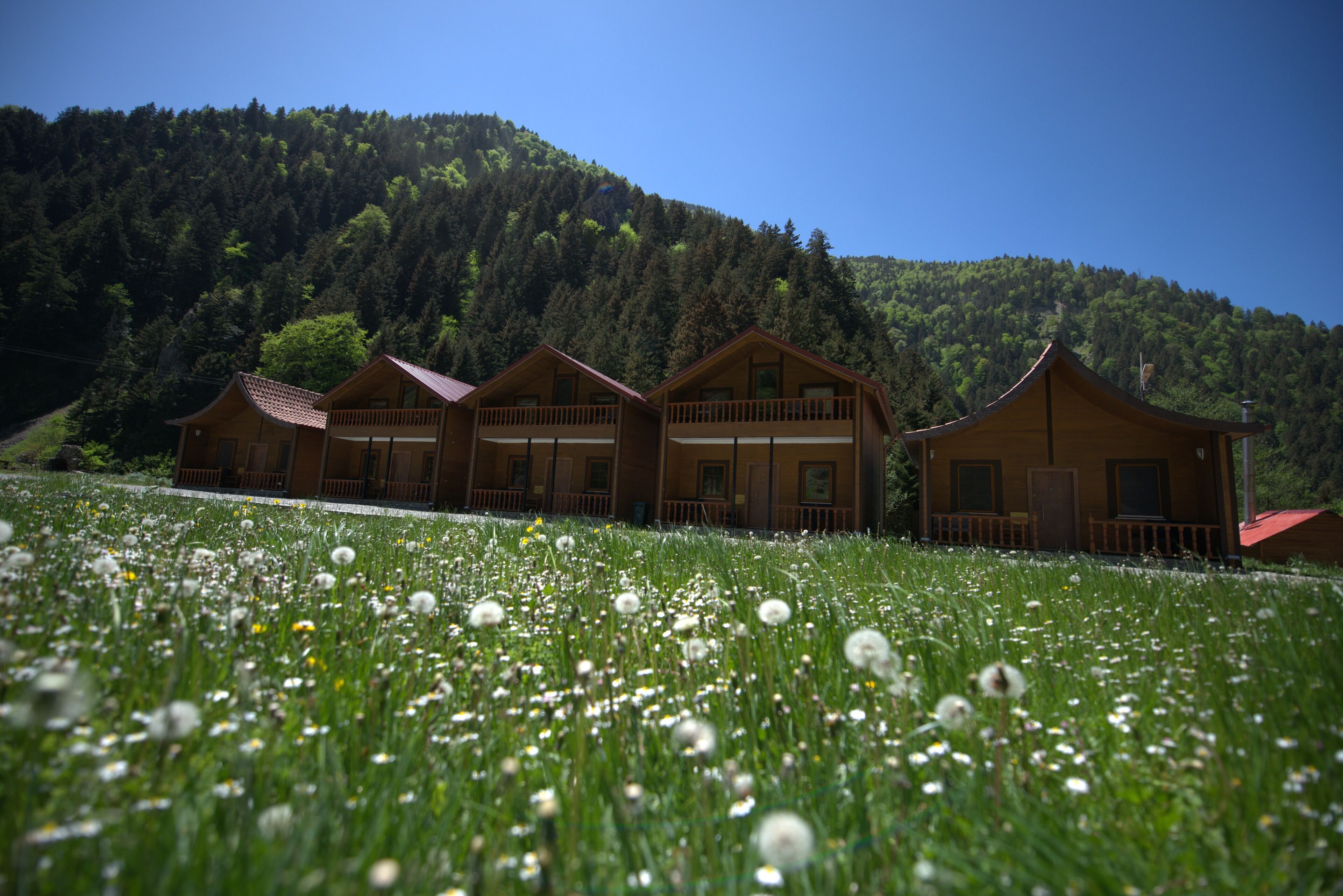 Yesil Irmak Bungalow