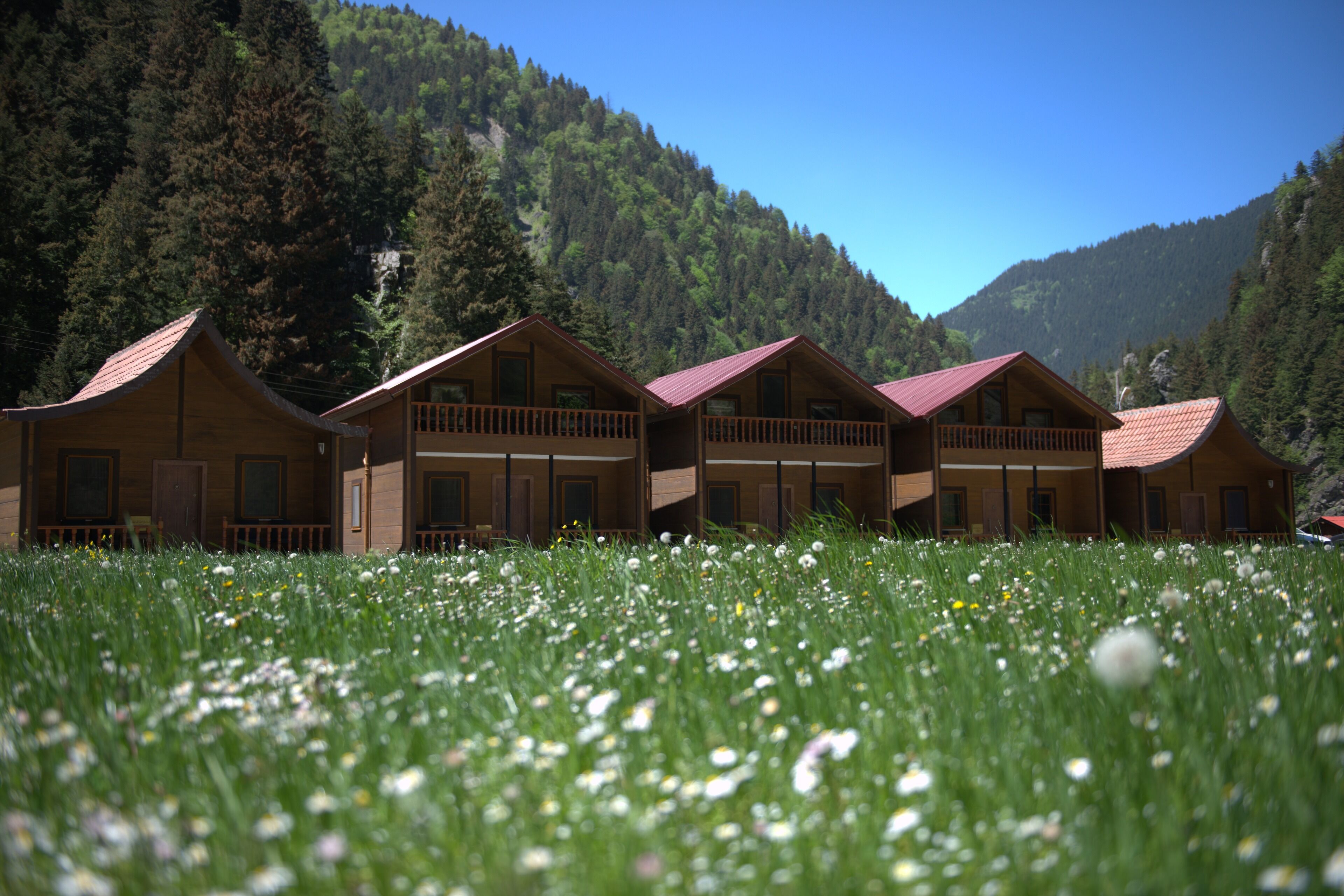 Yesil Irmak Bungalow