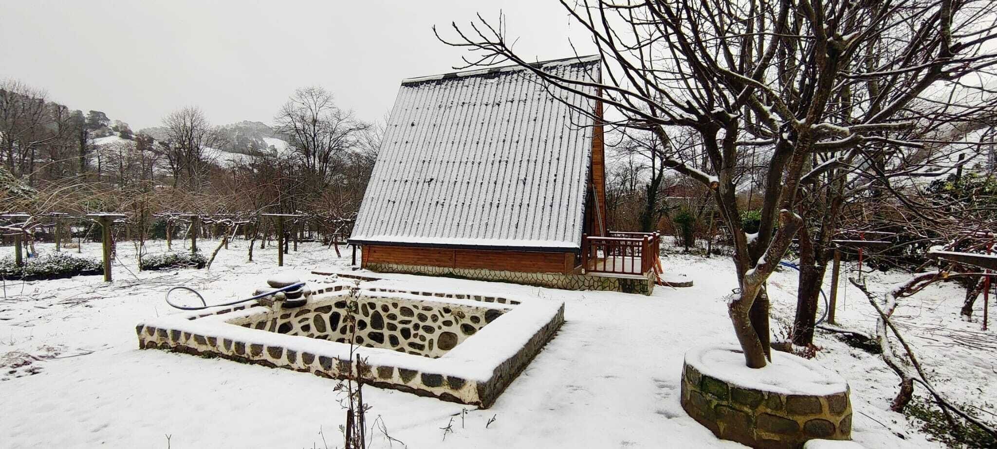 Engreens Suit Bungalov