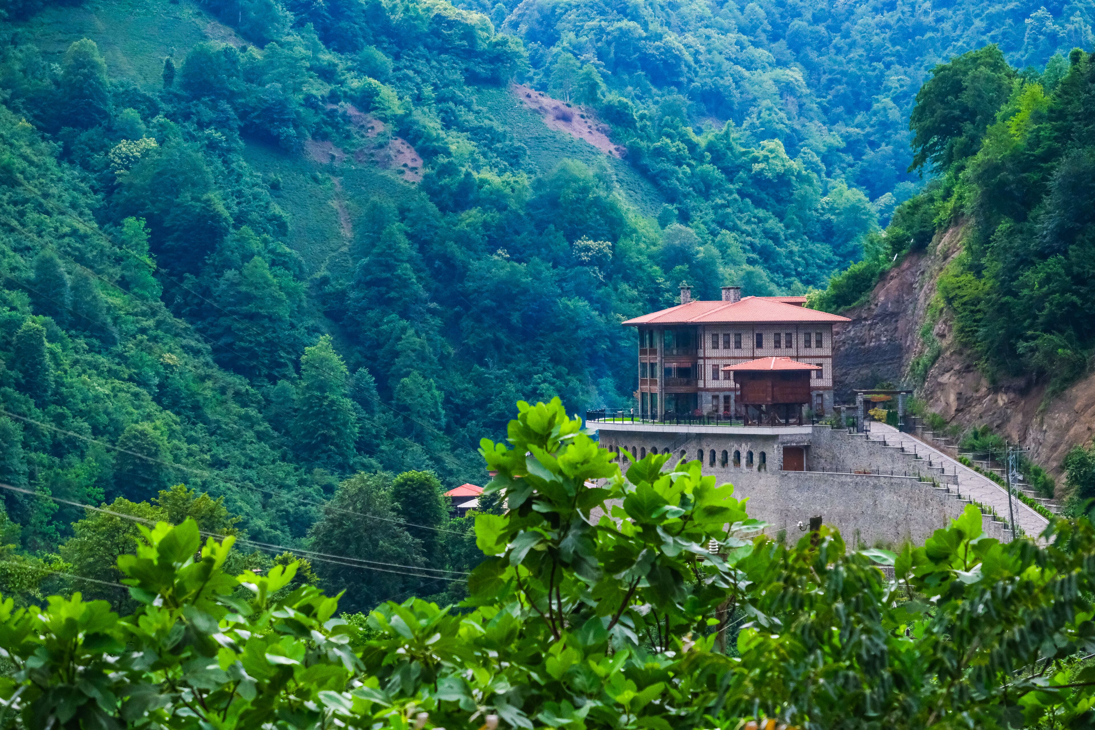 Hakoni House