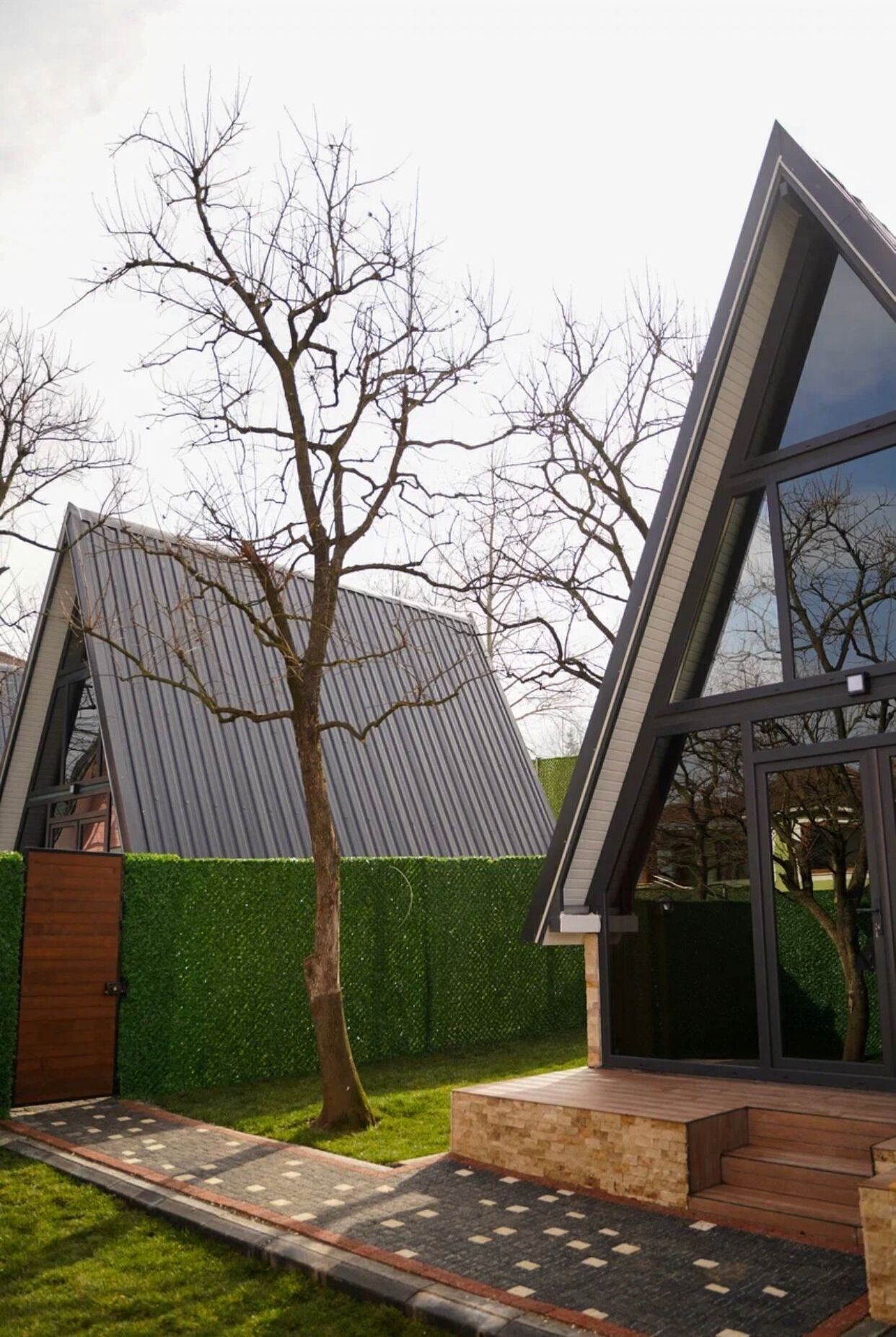 Pop Suit Bungalow
