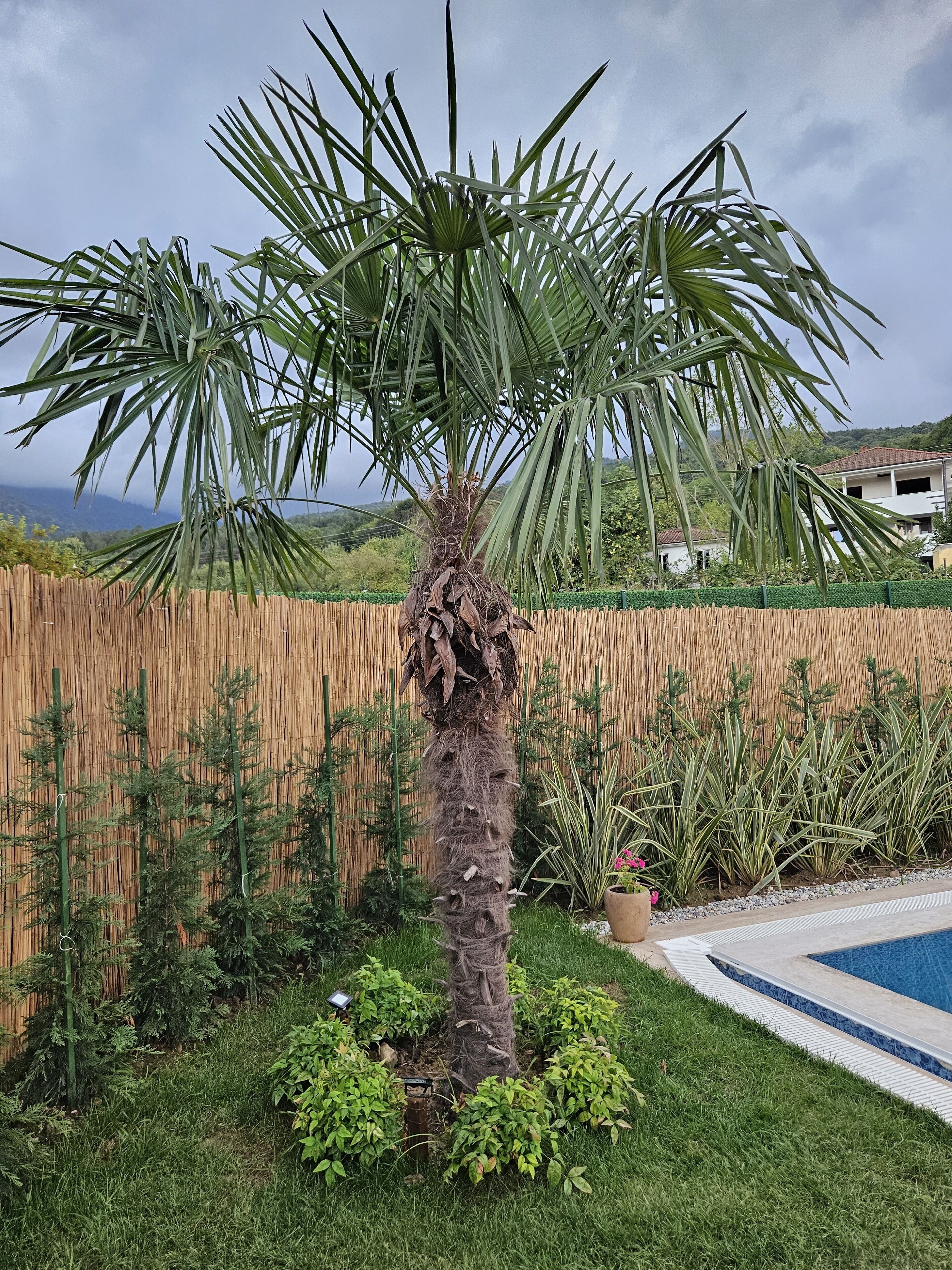 Teona Kartepe Bungalov