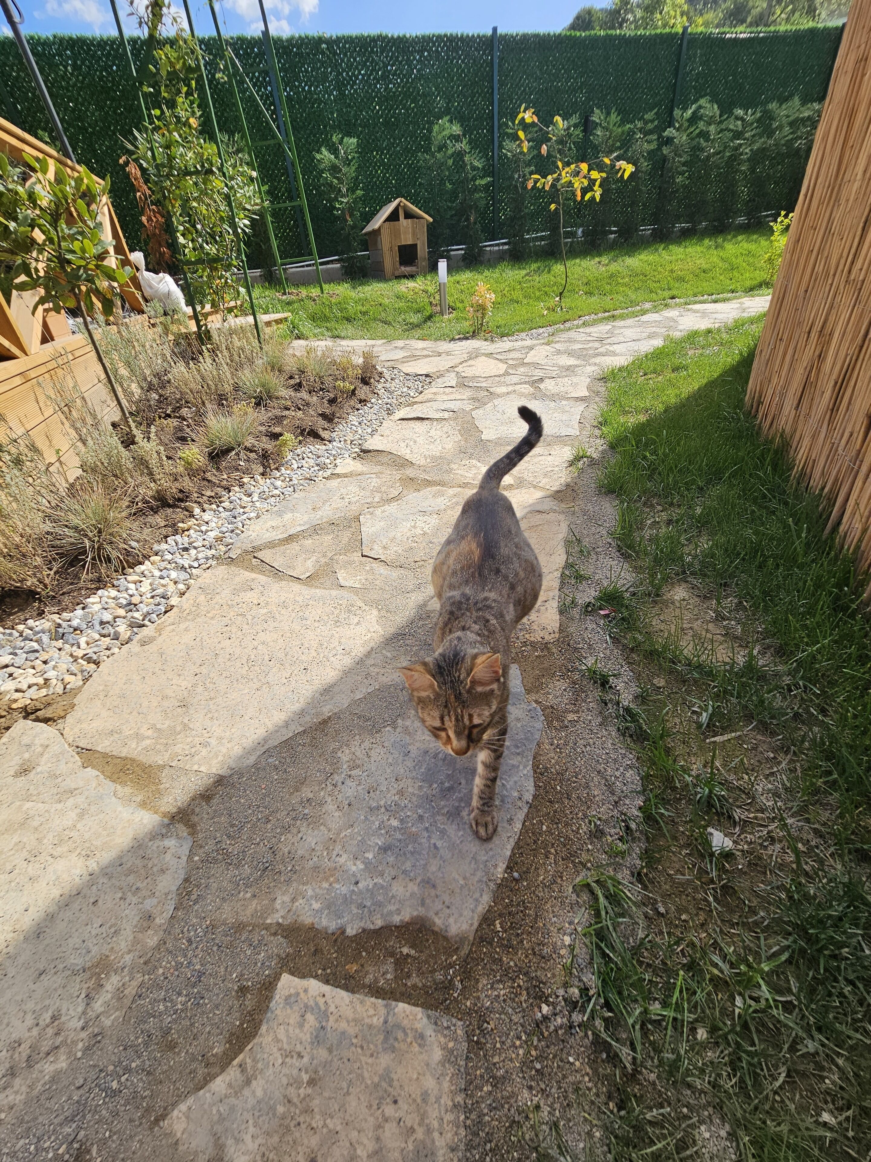 Teona Kartepe Bungalov
