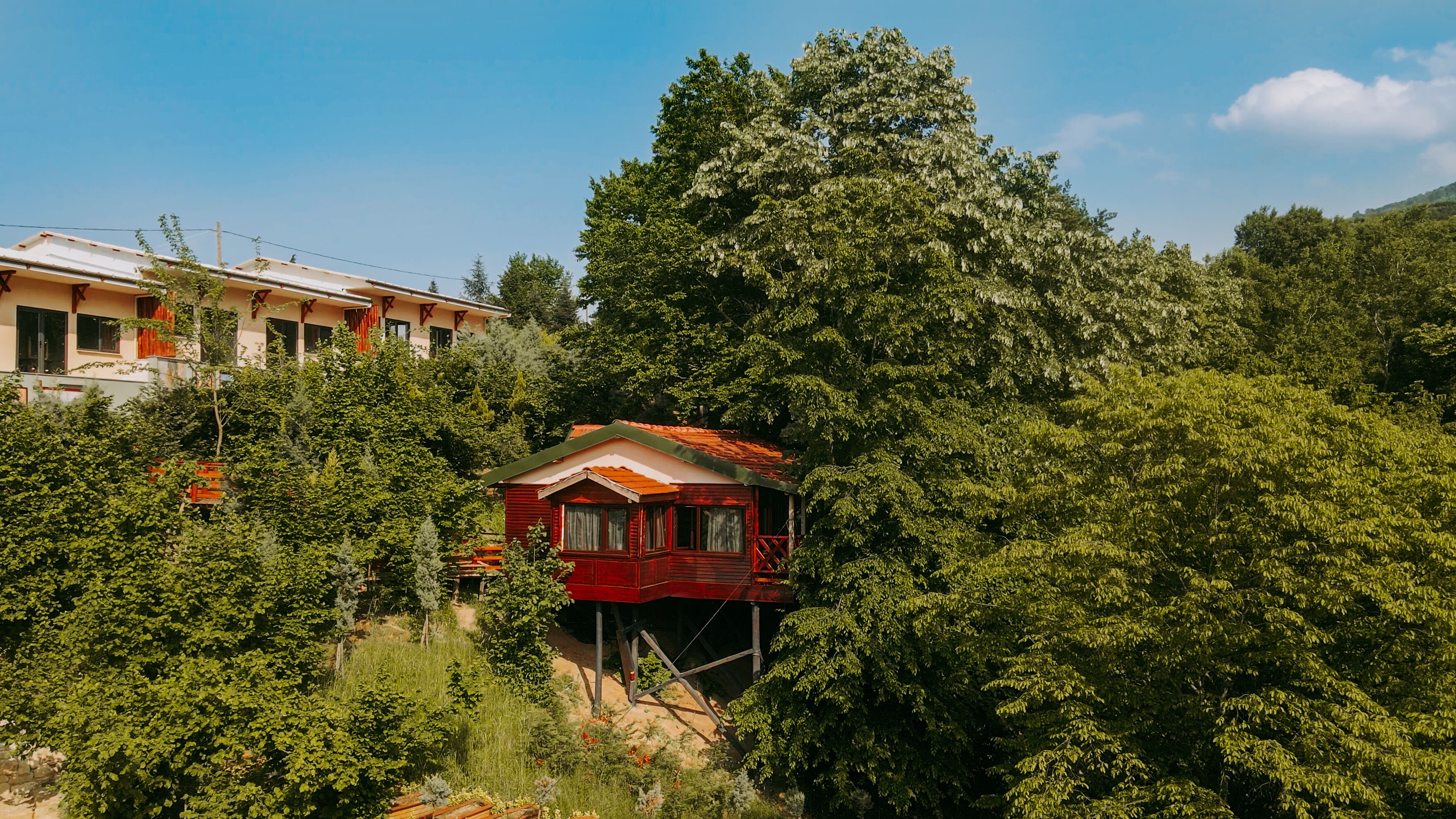 The Canyon Hotel & Resort