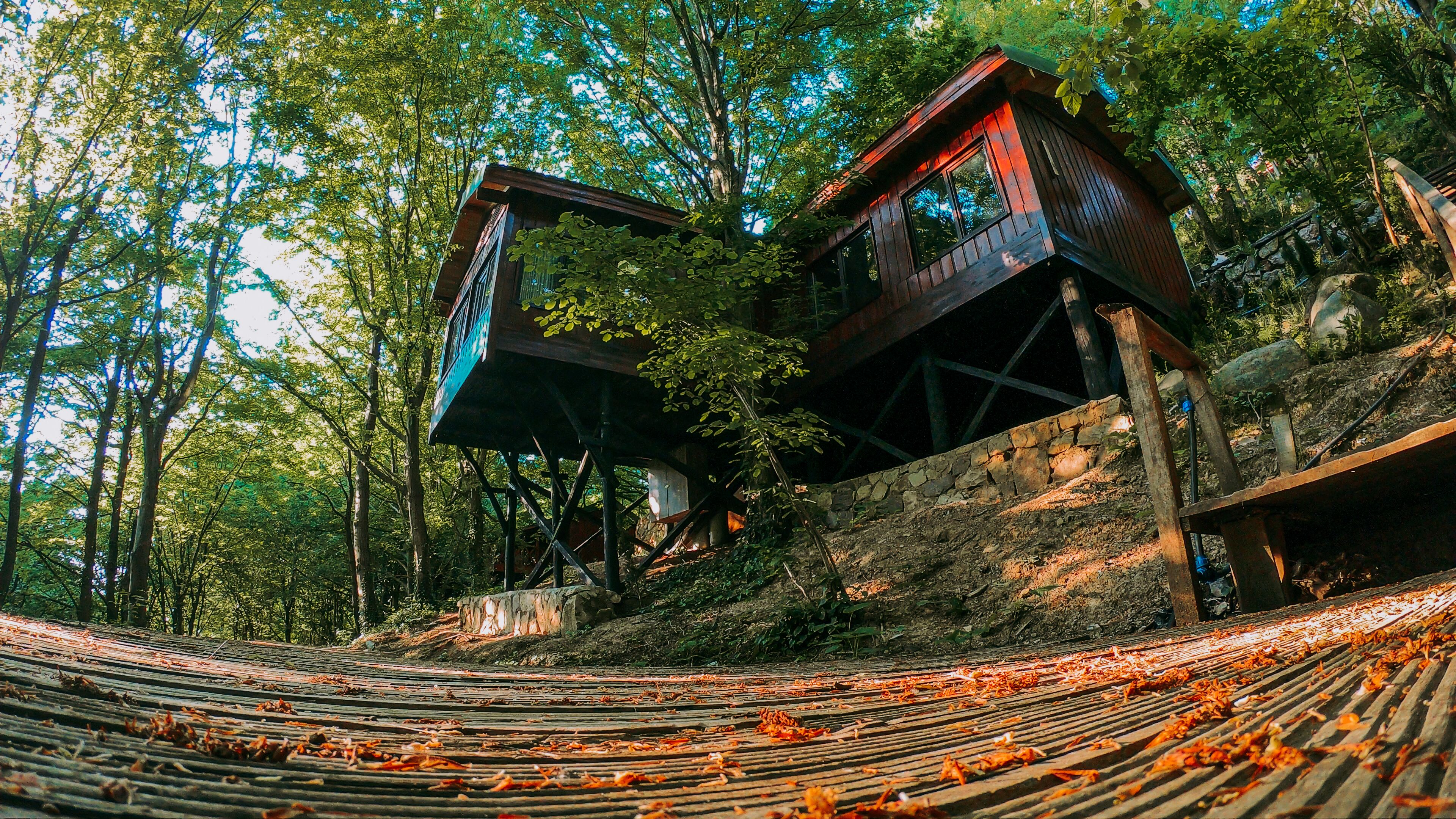 The Canyon Hotel & Resort