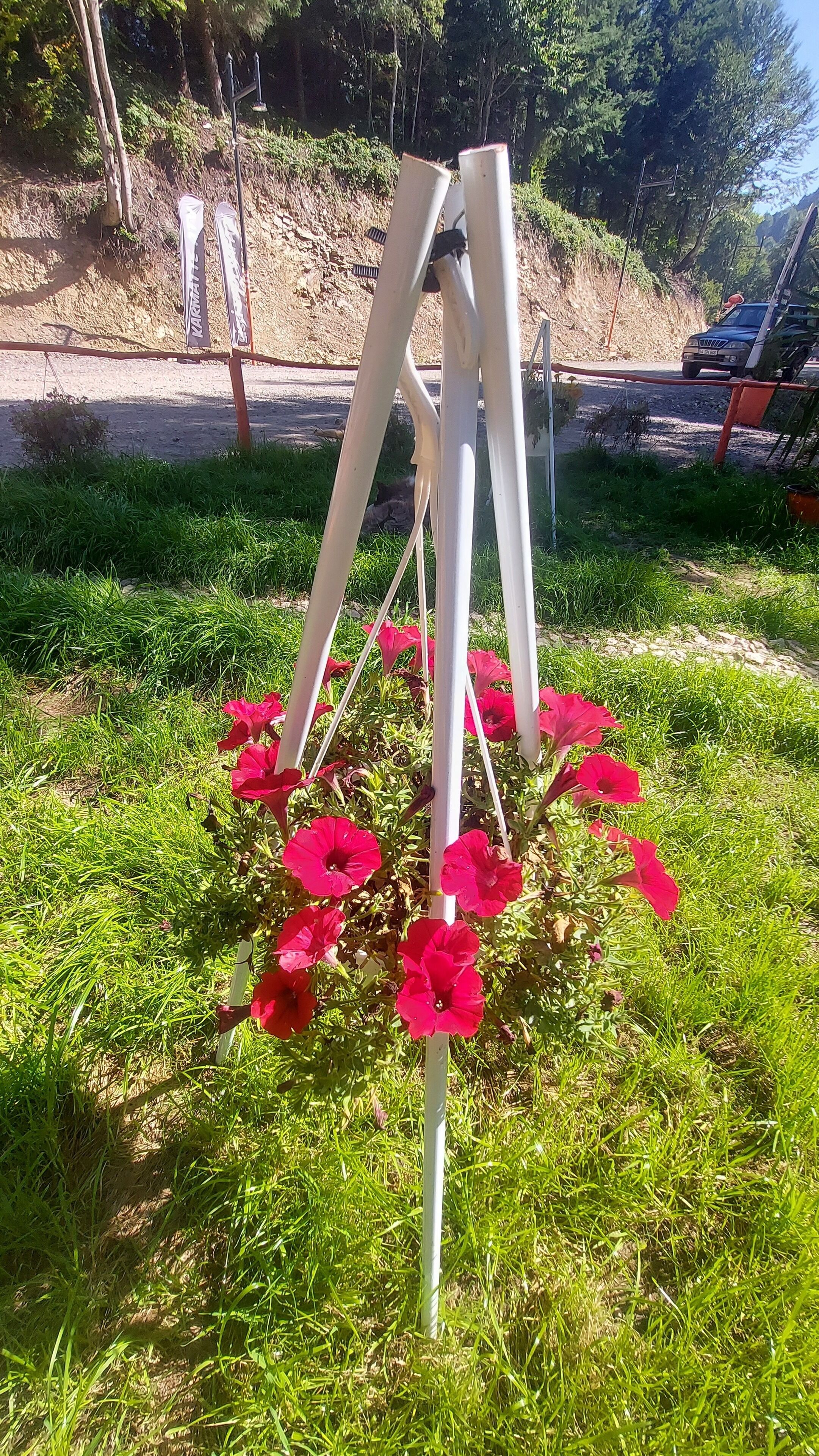 Tumba Sisli Vadi
