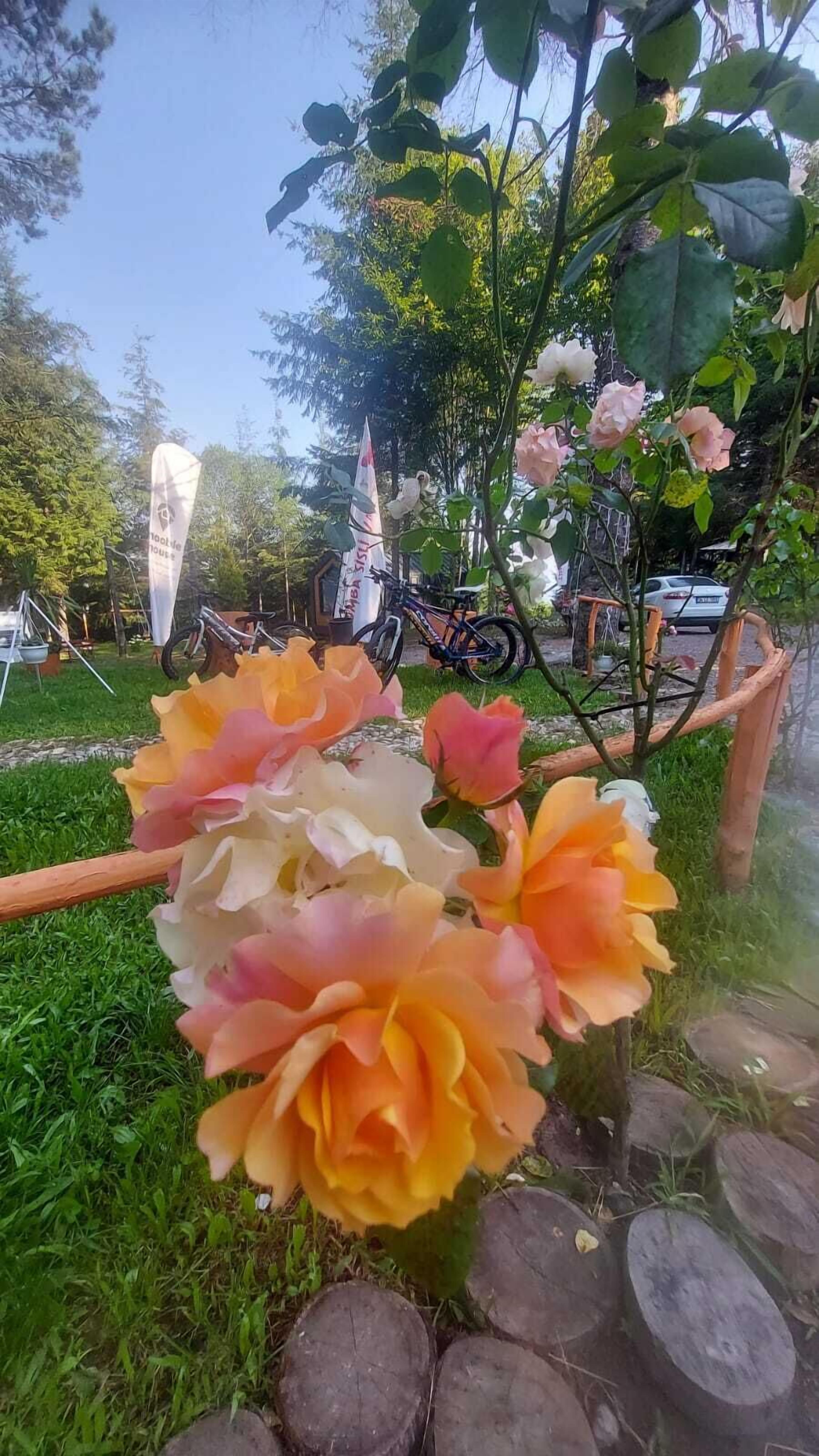 Tumba Sisli Vadi