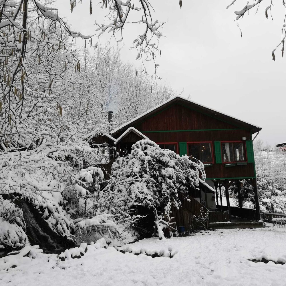 Yesil Dus Vadisi Bungalow Restoran