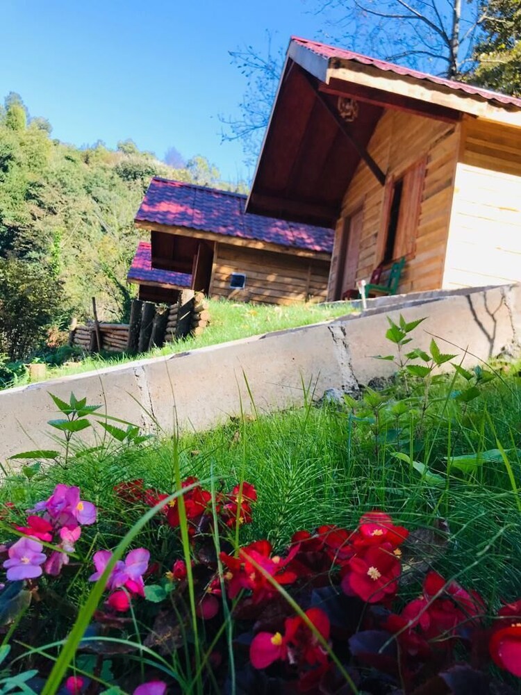 Yesil Dus Vadisi Bungalow Restoran